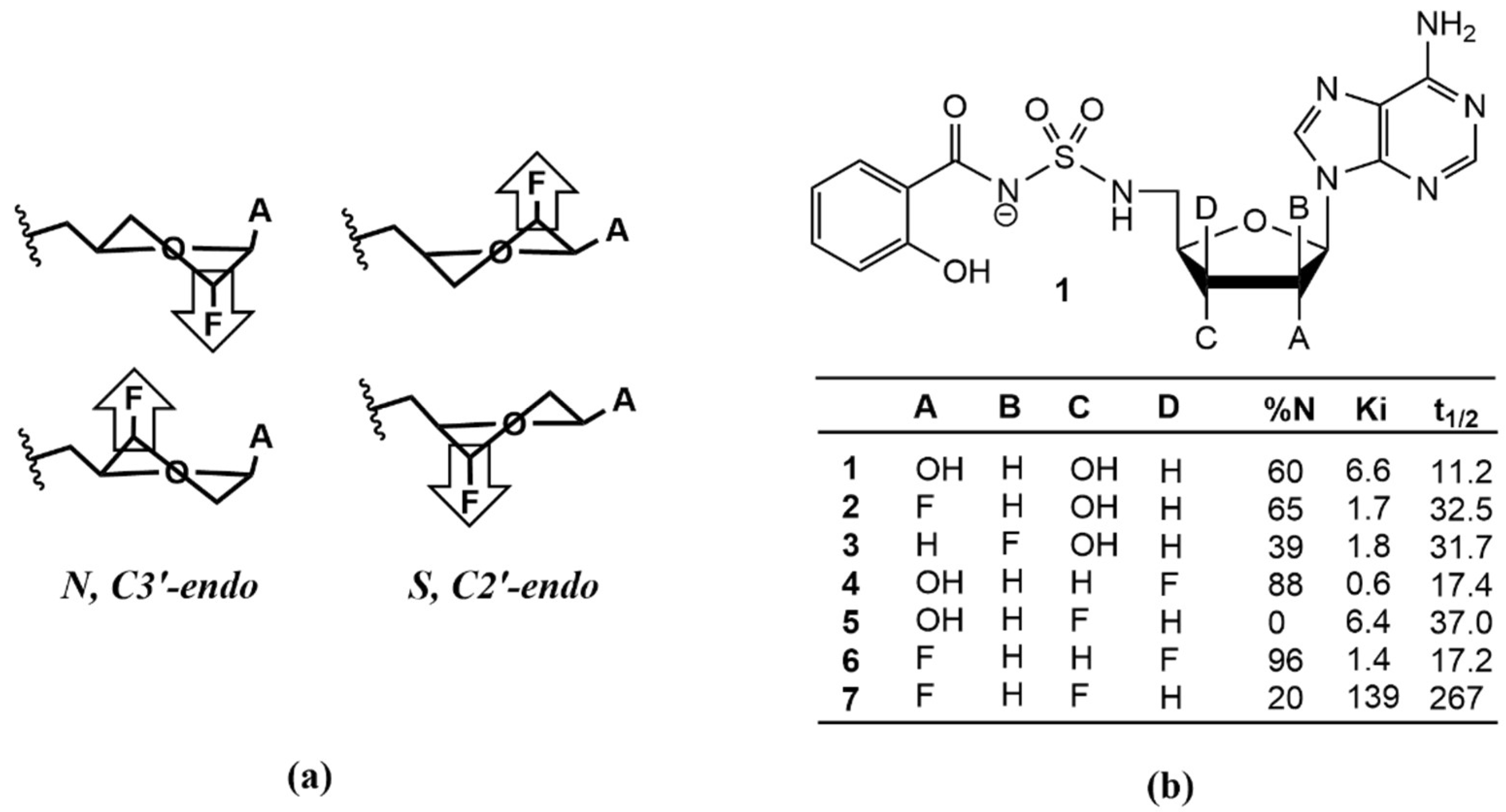 Molecules 27 02616 g001