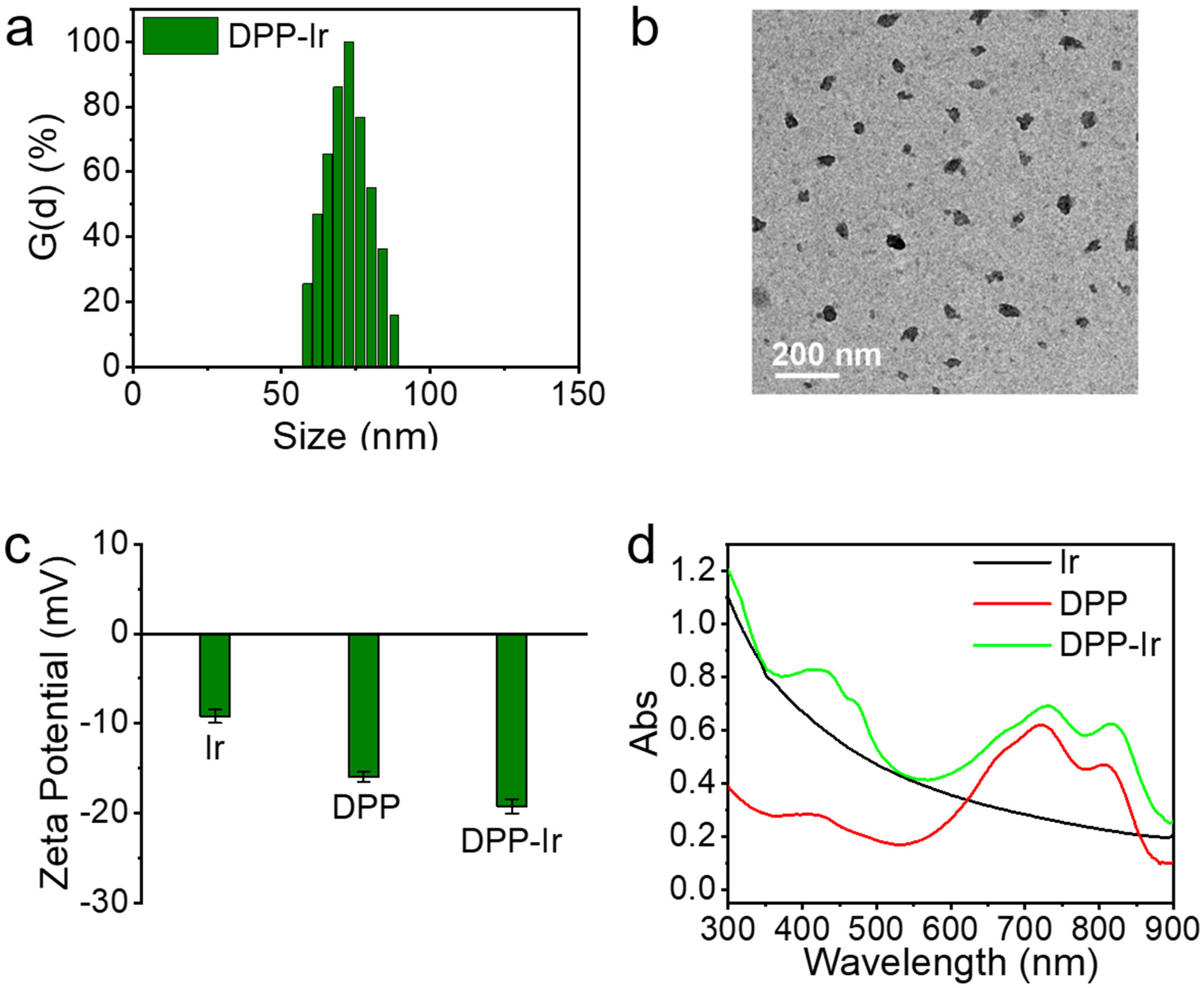 Molecules 27 02629 g001
