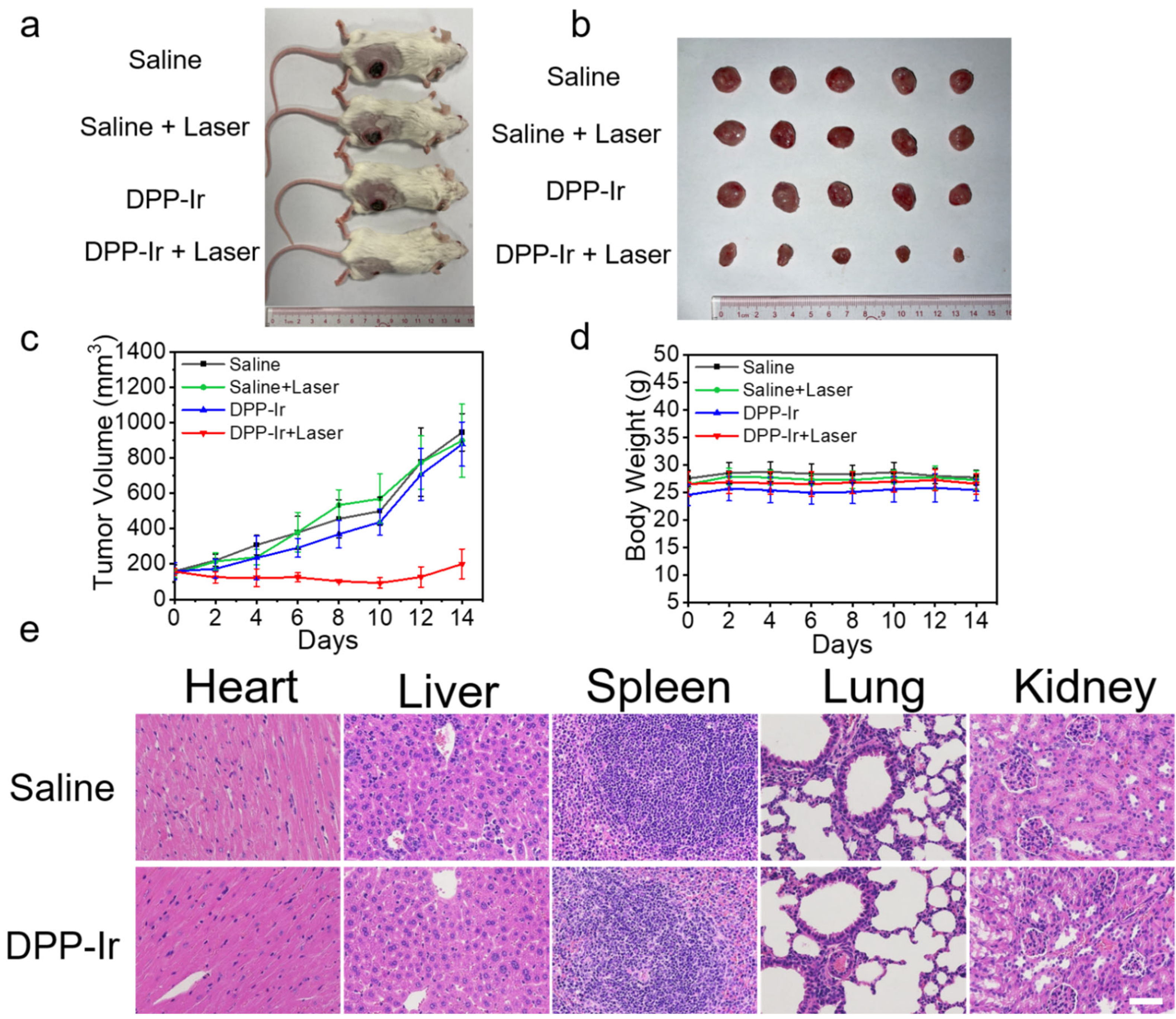 Molecules 27 02629 g005