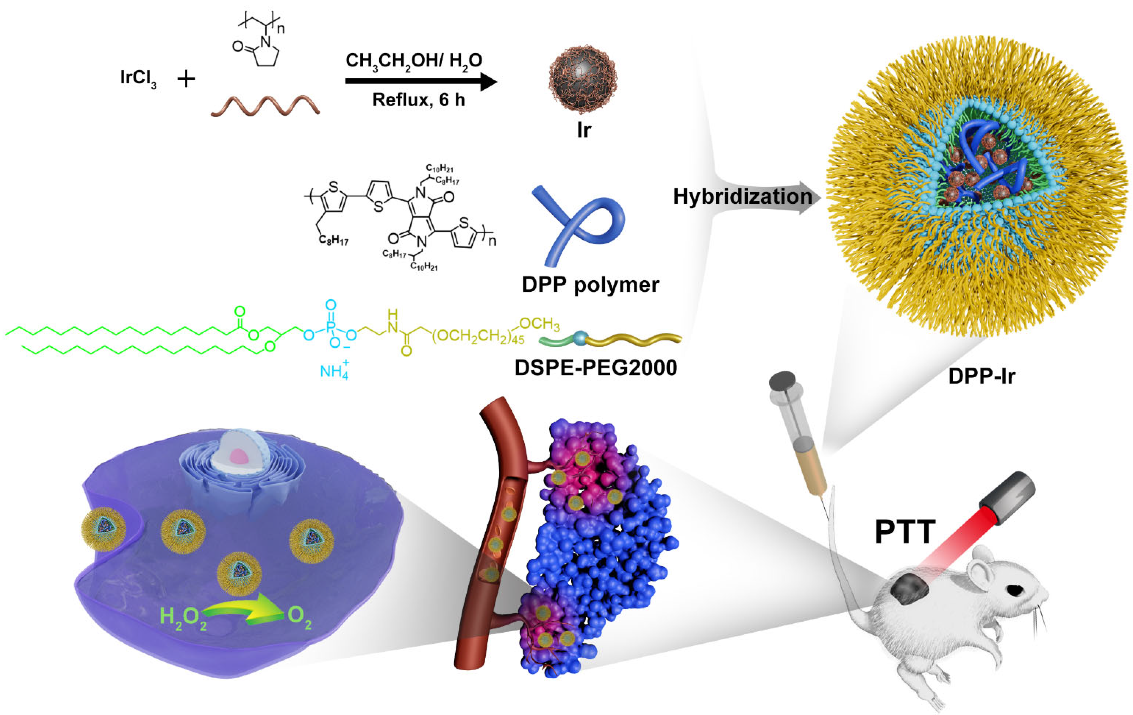 Molecules 27 02629 sch001
