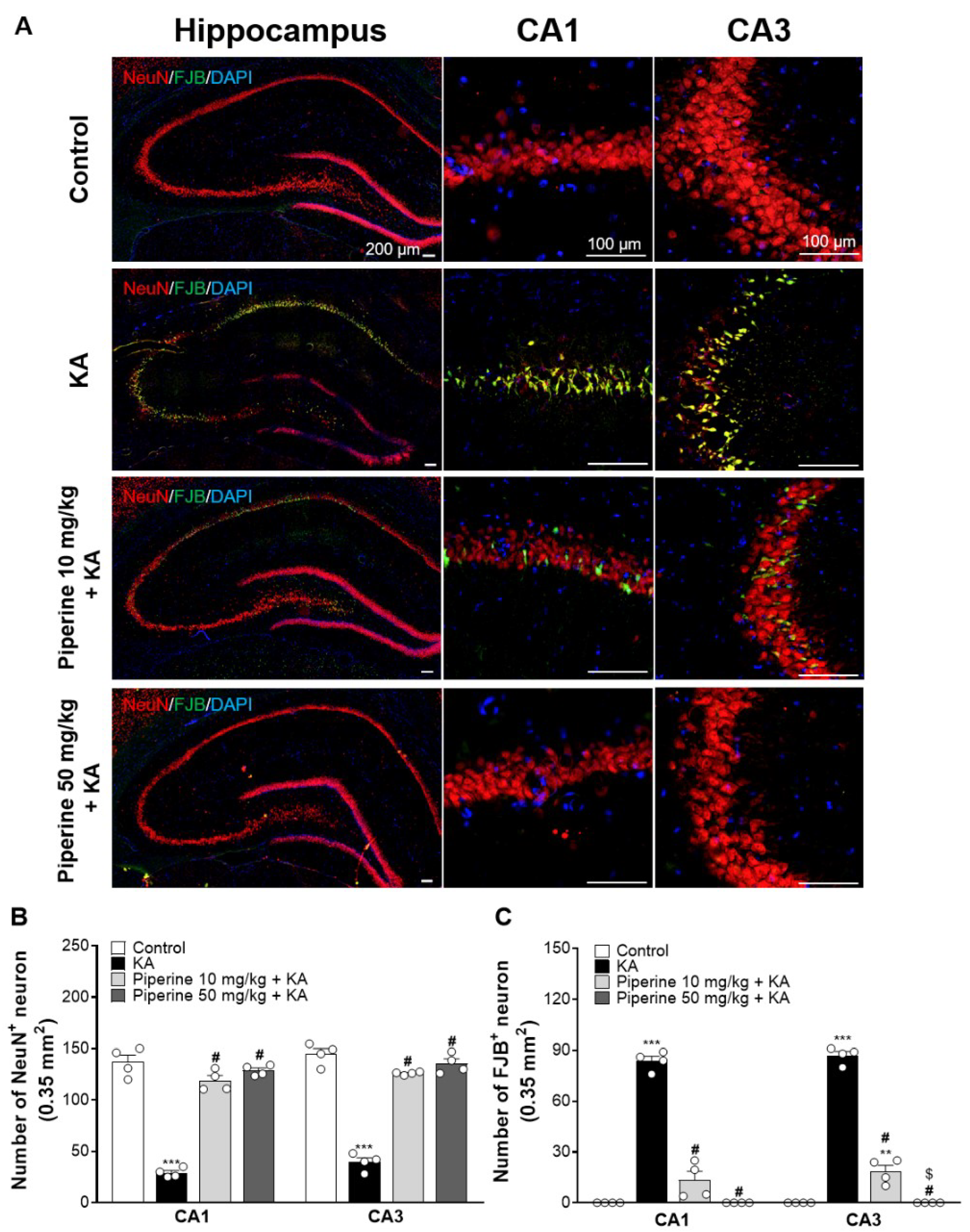 Molecules 27 02638 g004 Molecules 27 02638 g004