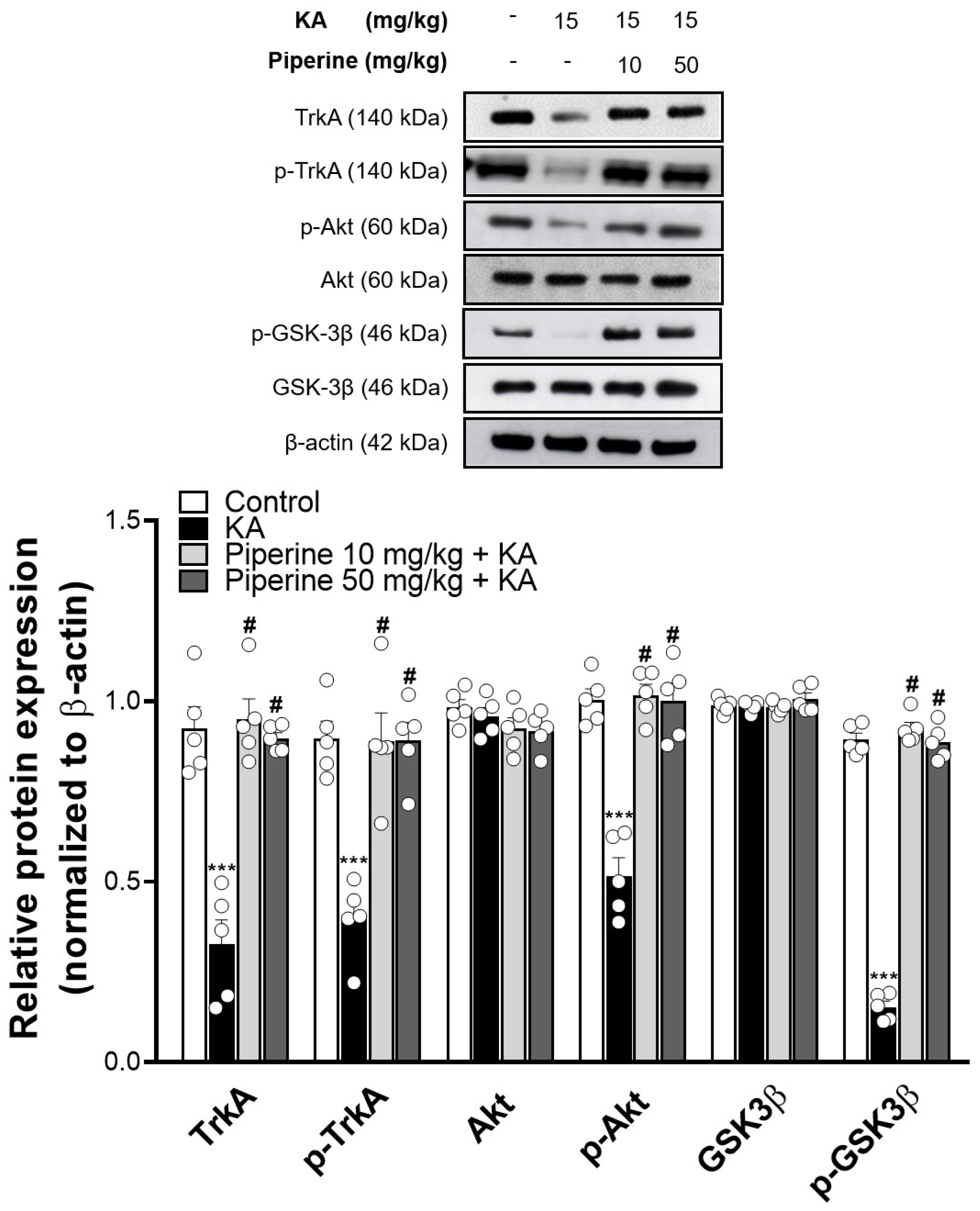 Molecules 27 02638 g006 Molecules 27 02638 g006