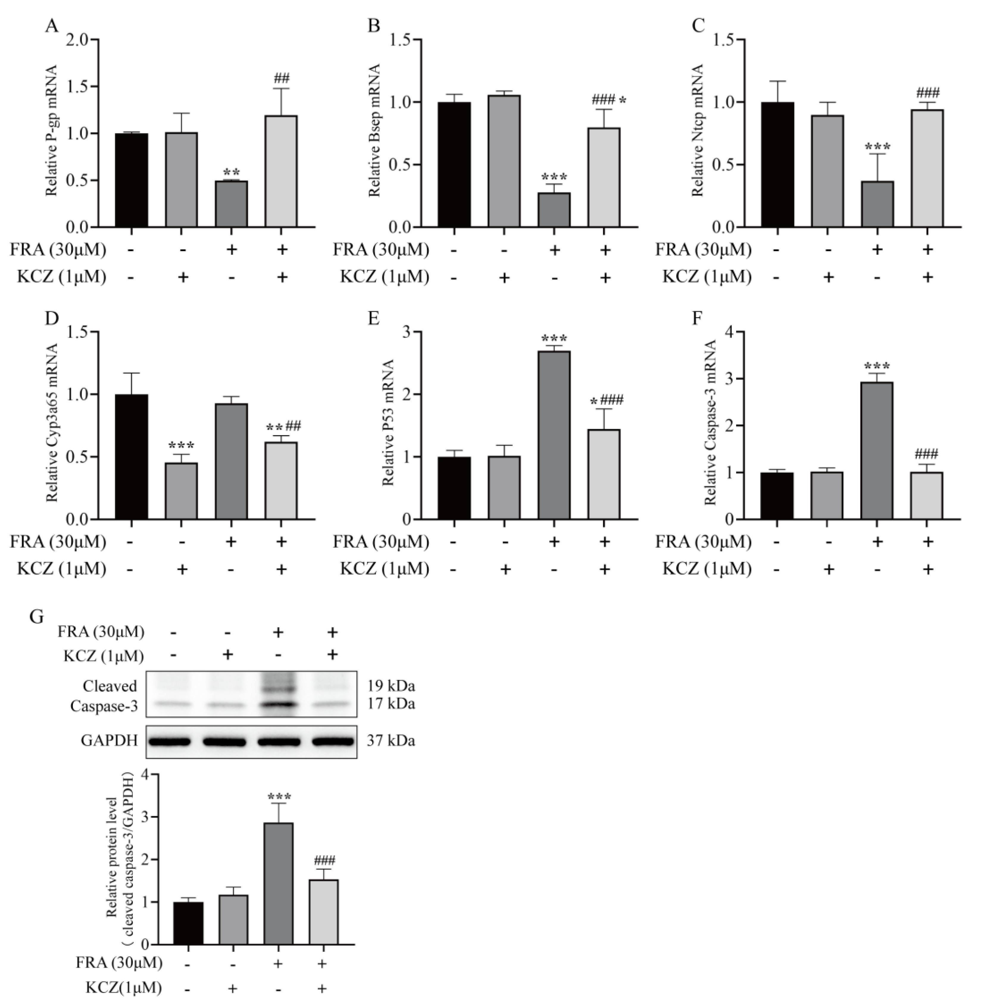 Molecules 27 02647 g007