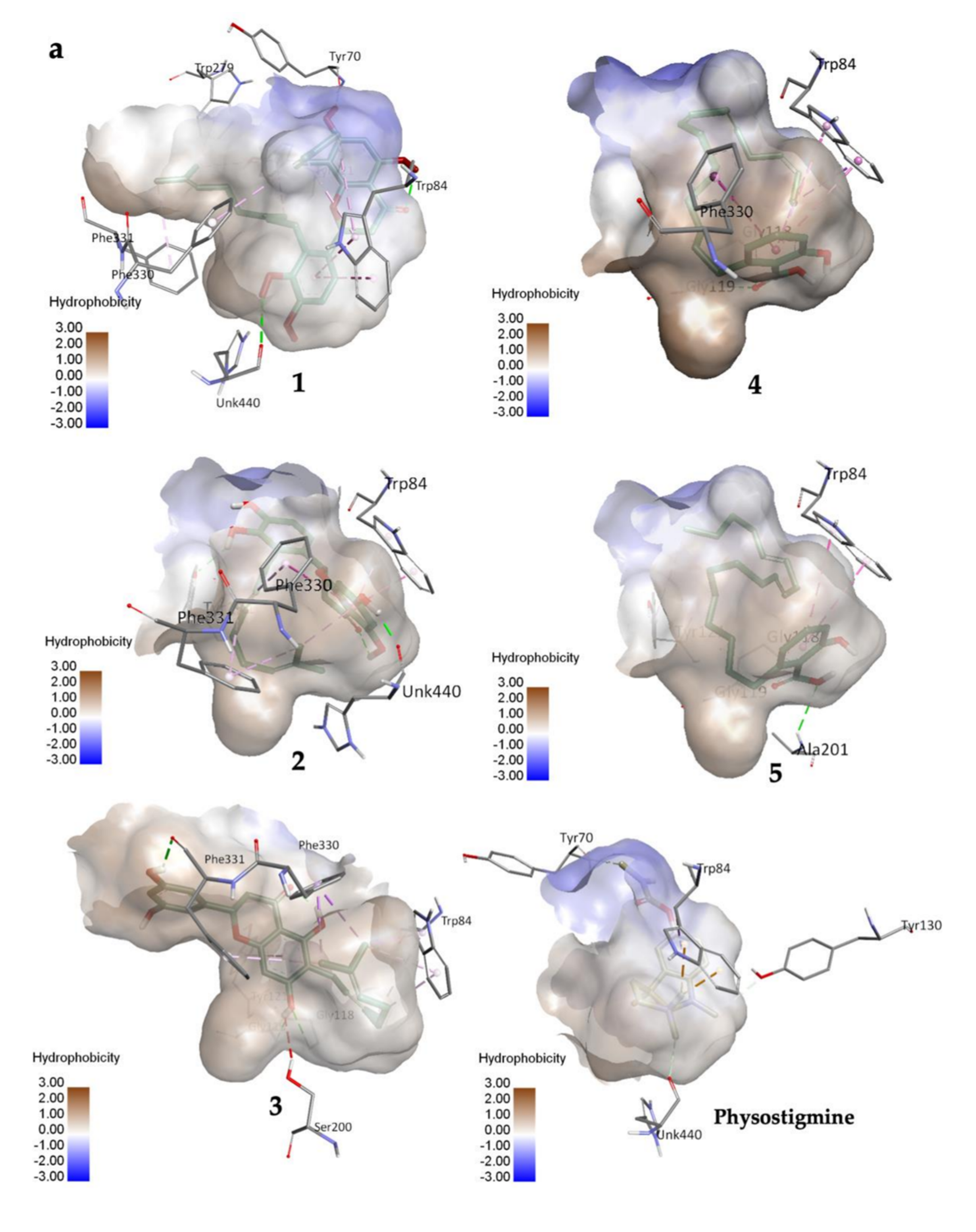 Molecules 27 02648 g002a Molecules 27 02648 g002a