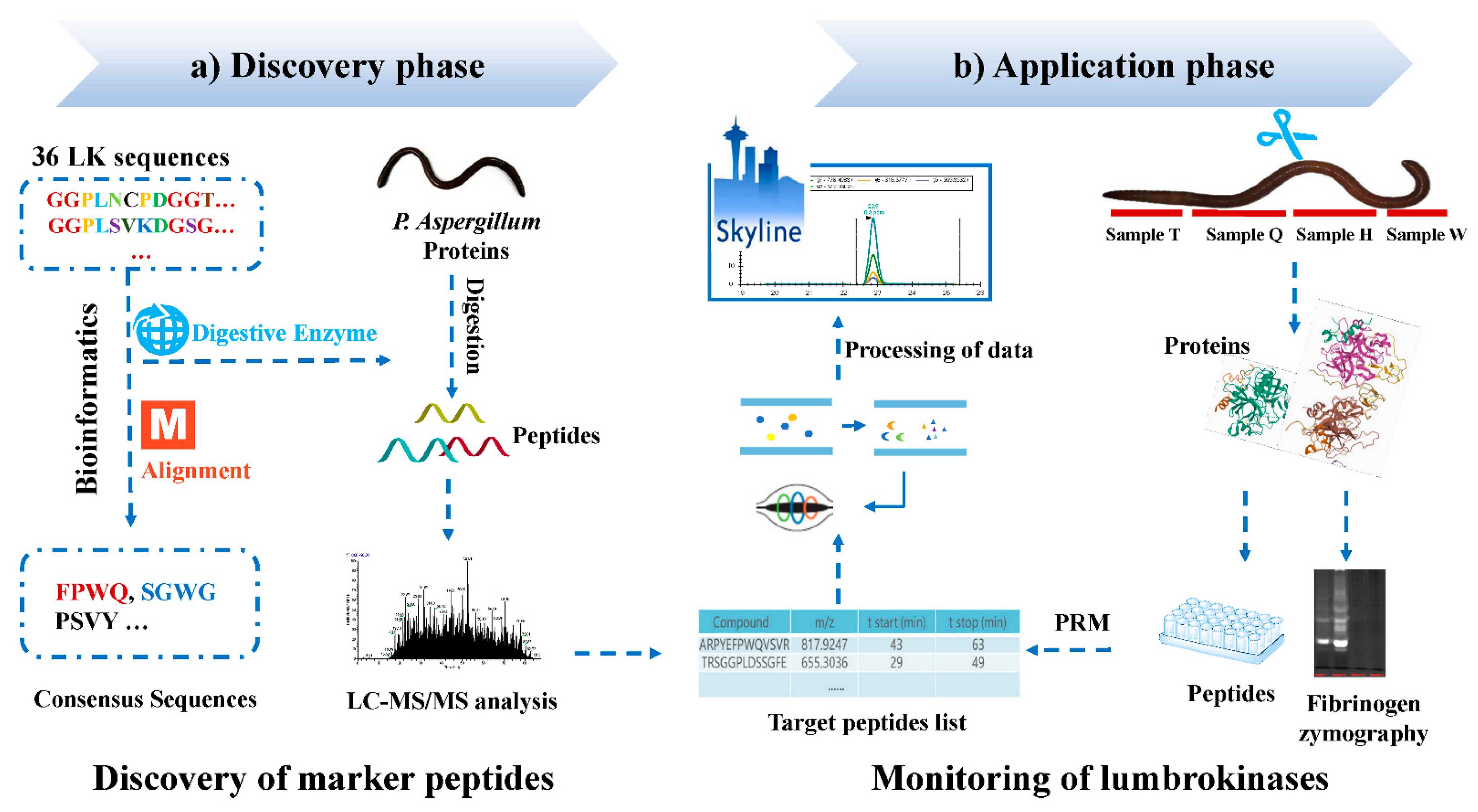 Molecules 27 02651 g001