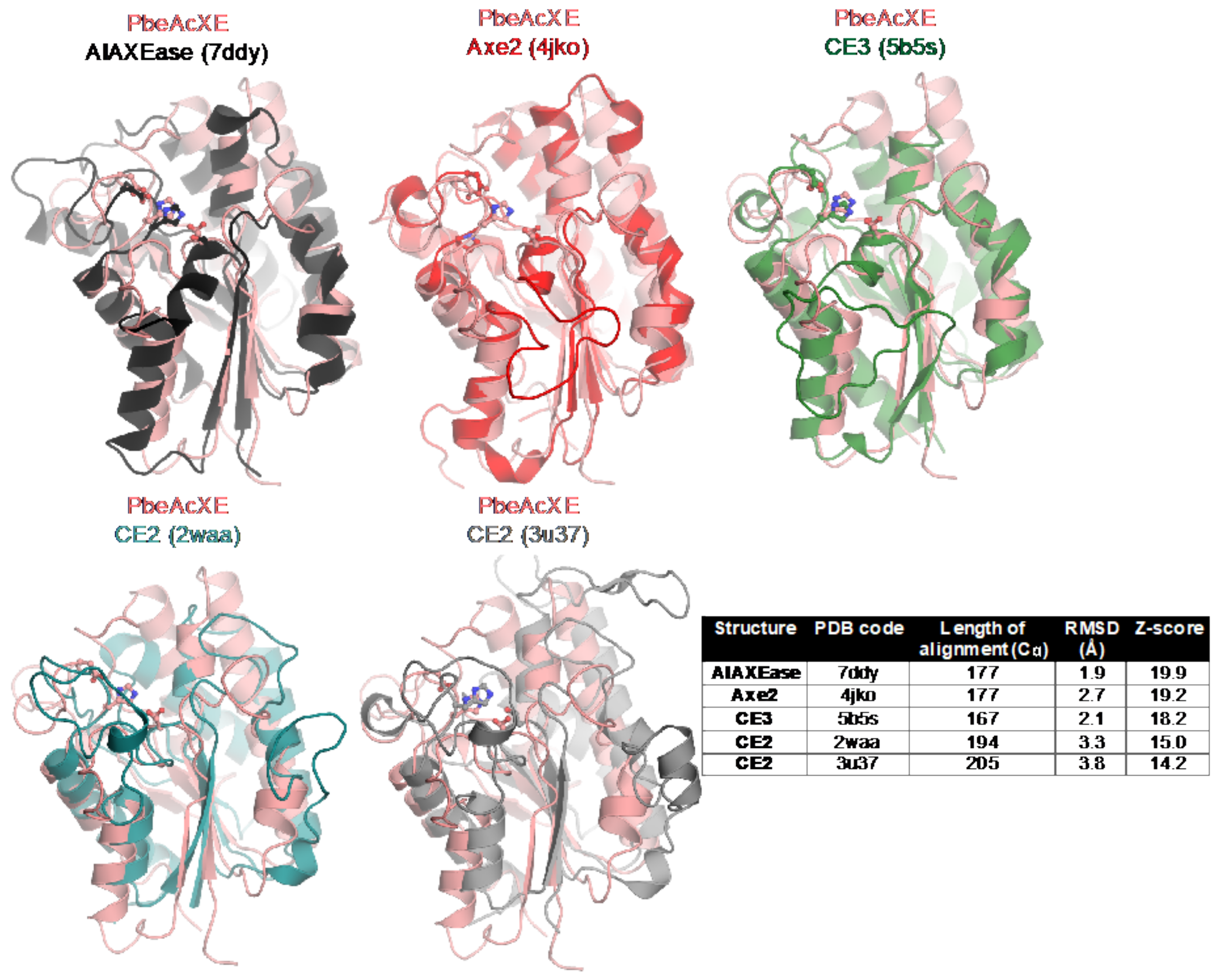 Molecules 27 02655 g005