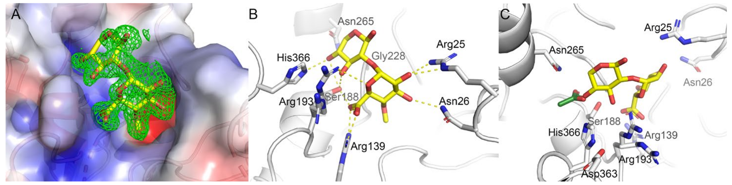 Molecules 27 02655 g006