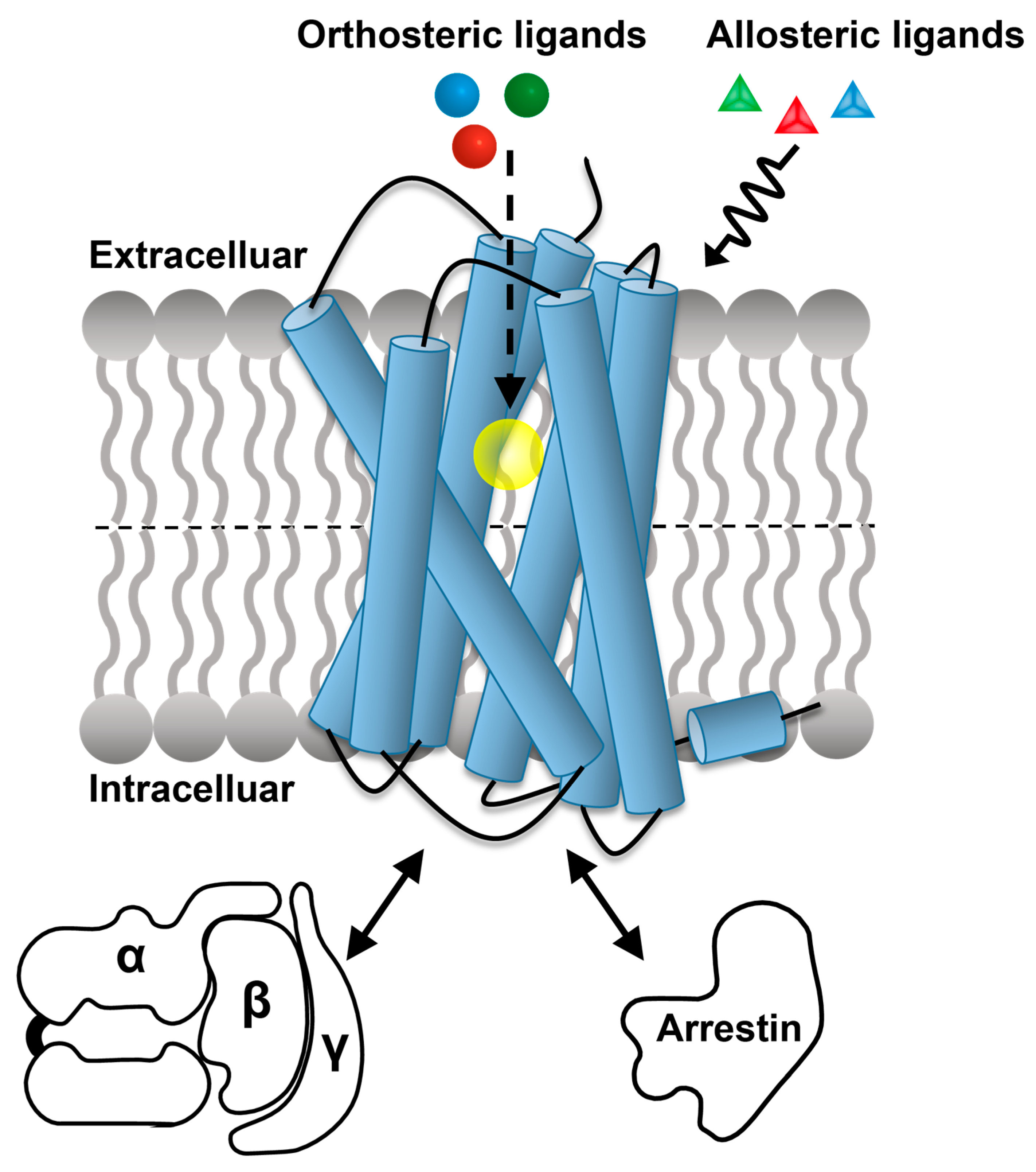 Molecules 27 02658 g001