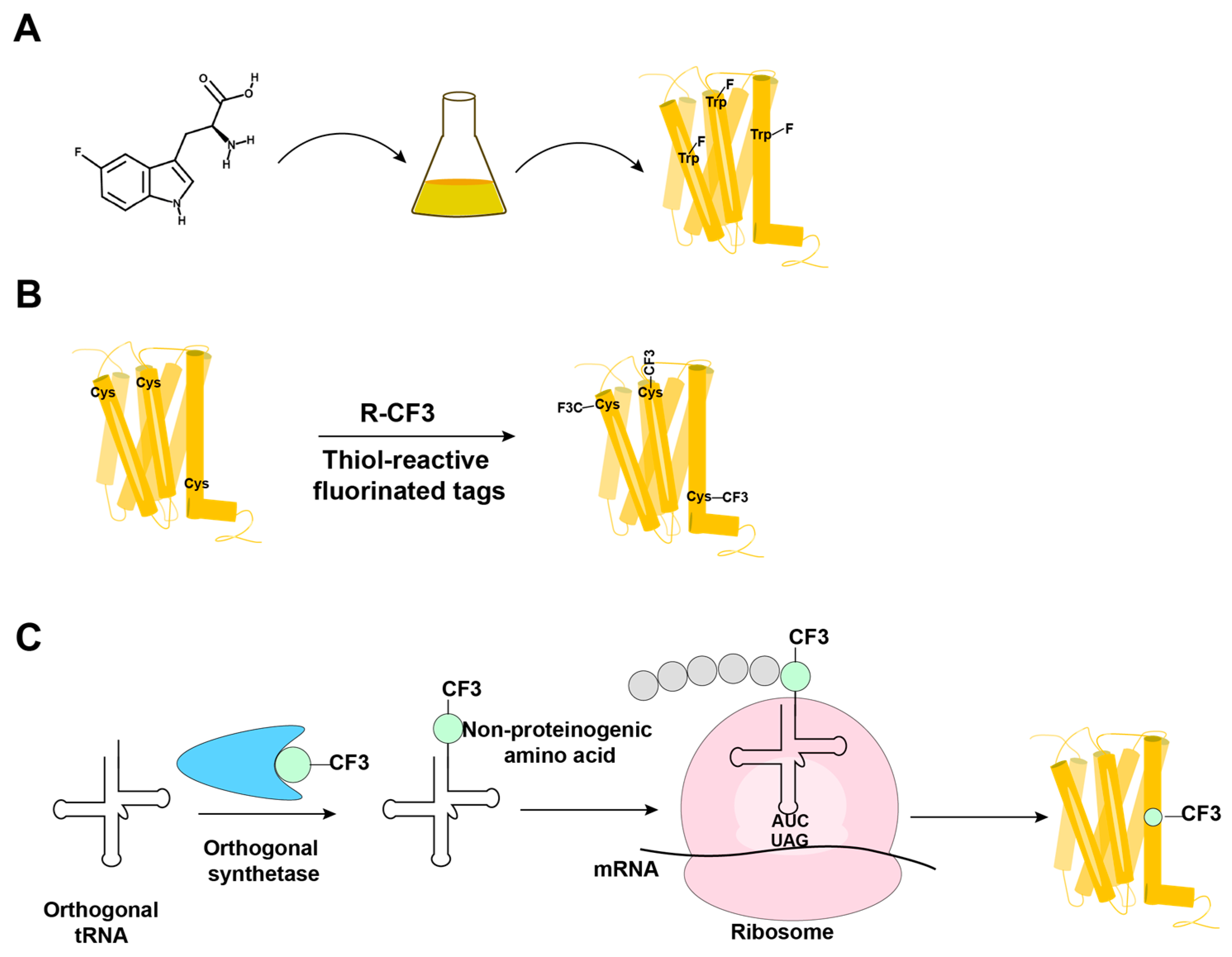Molecules 27 02658 g003