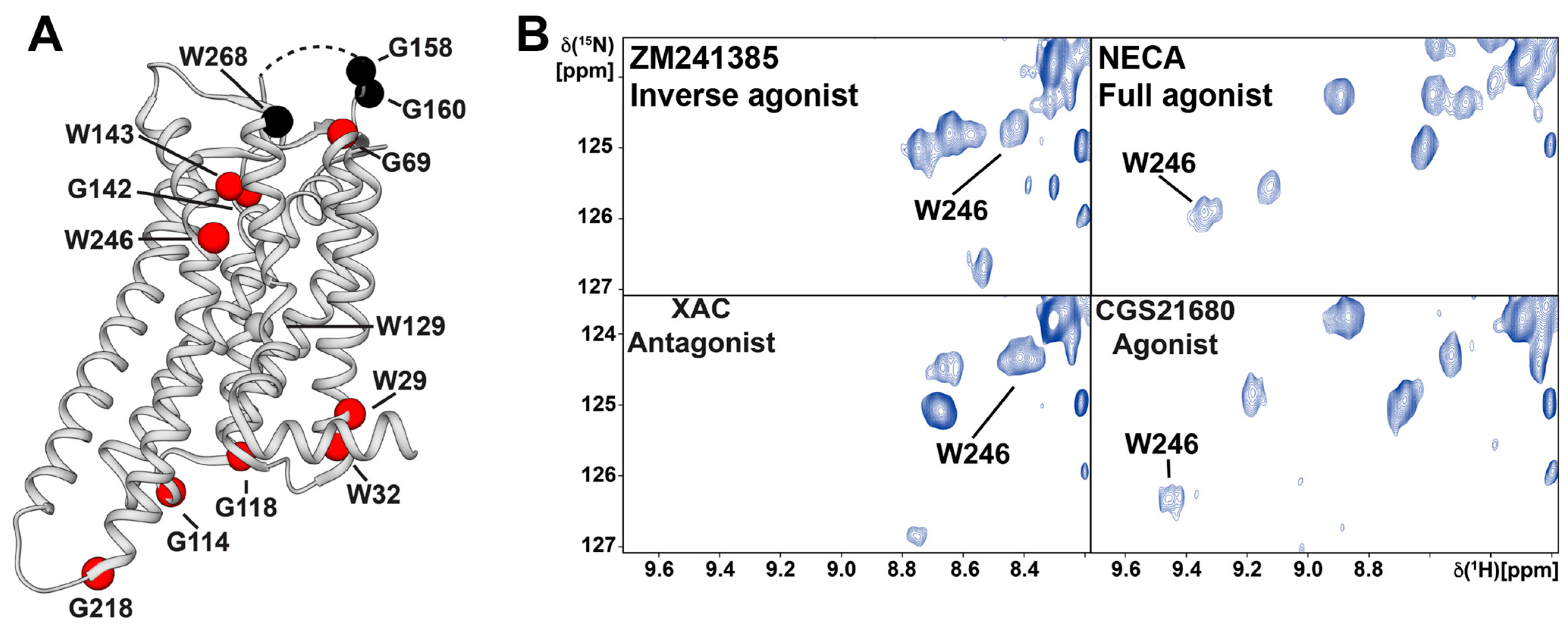 Molecules 27 02658 g005