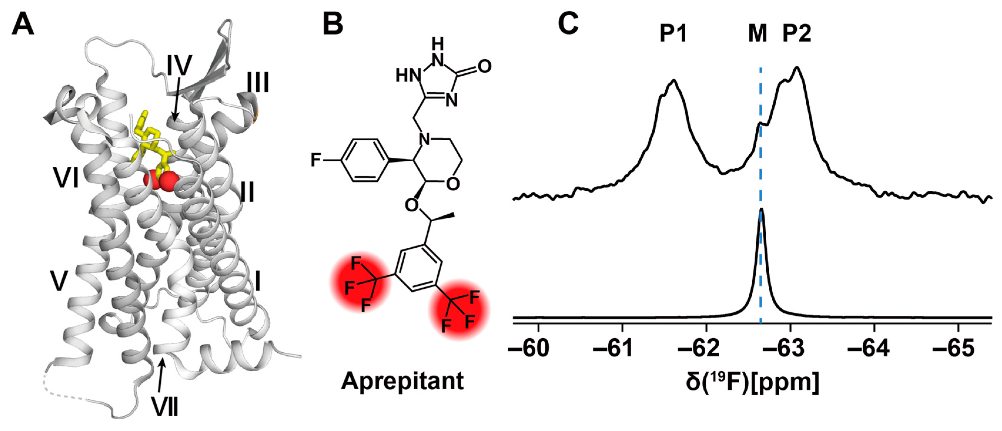 Molecules 27 02658 g006