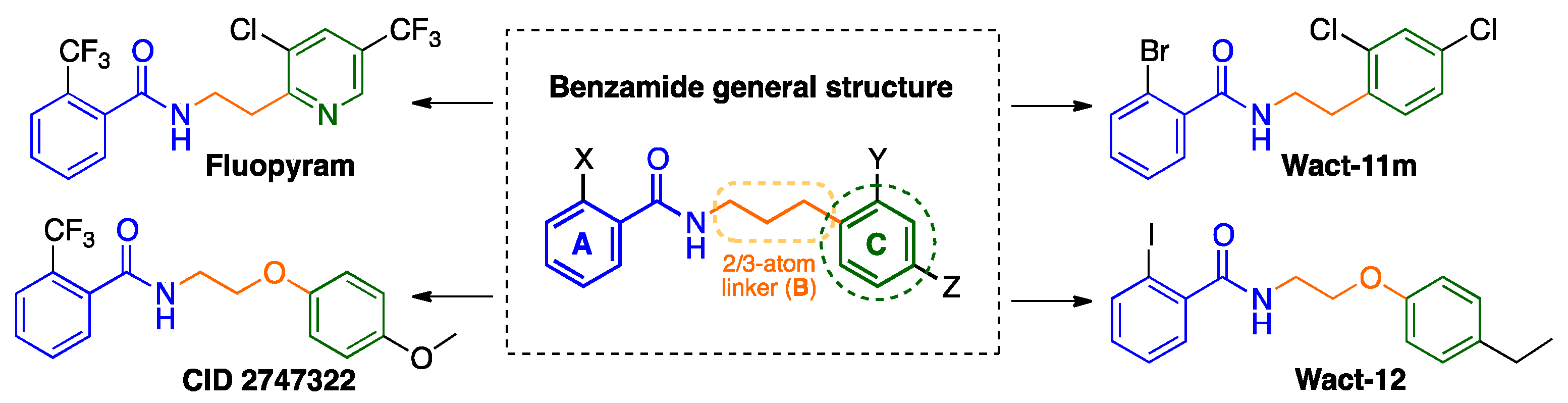 Molecules 27 02659 g001