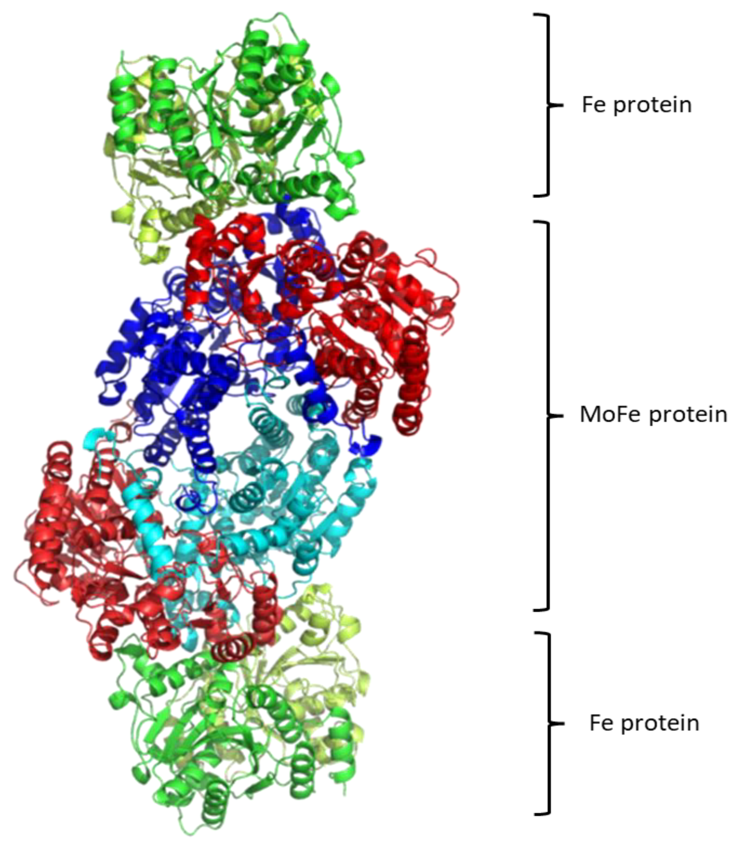 Molecules 27 02660 g001 Molecules 27 02660 g001