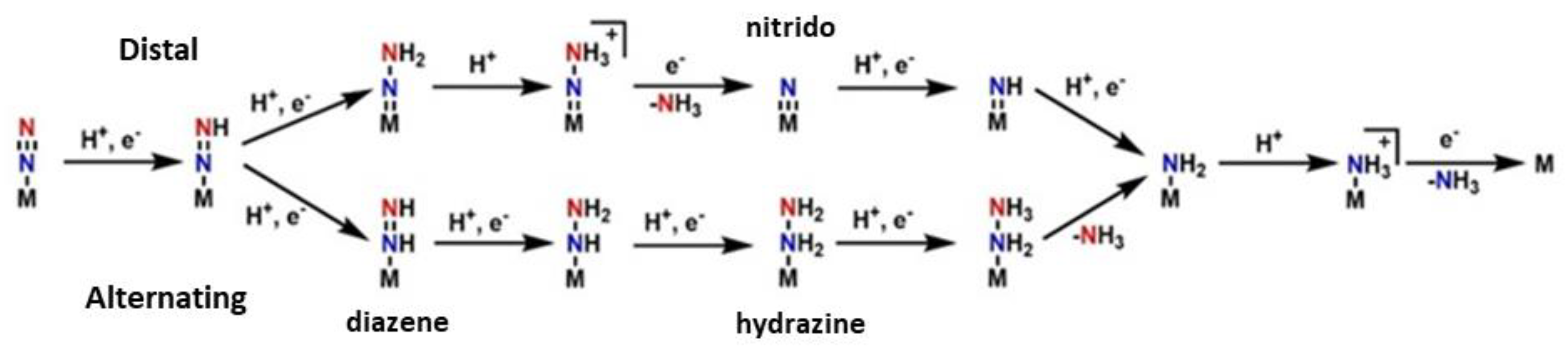Molecules 27 02660 g003 Molecules 27 02660 g003