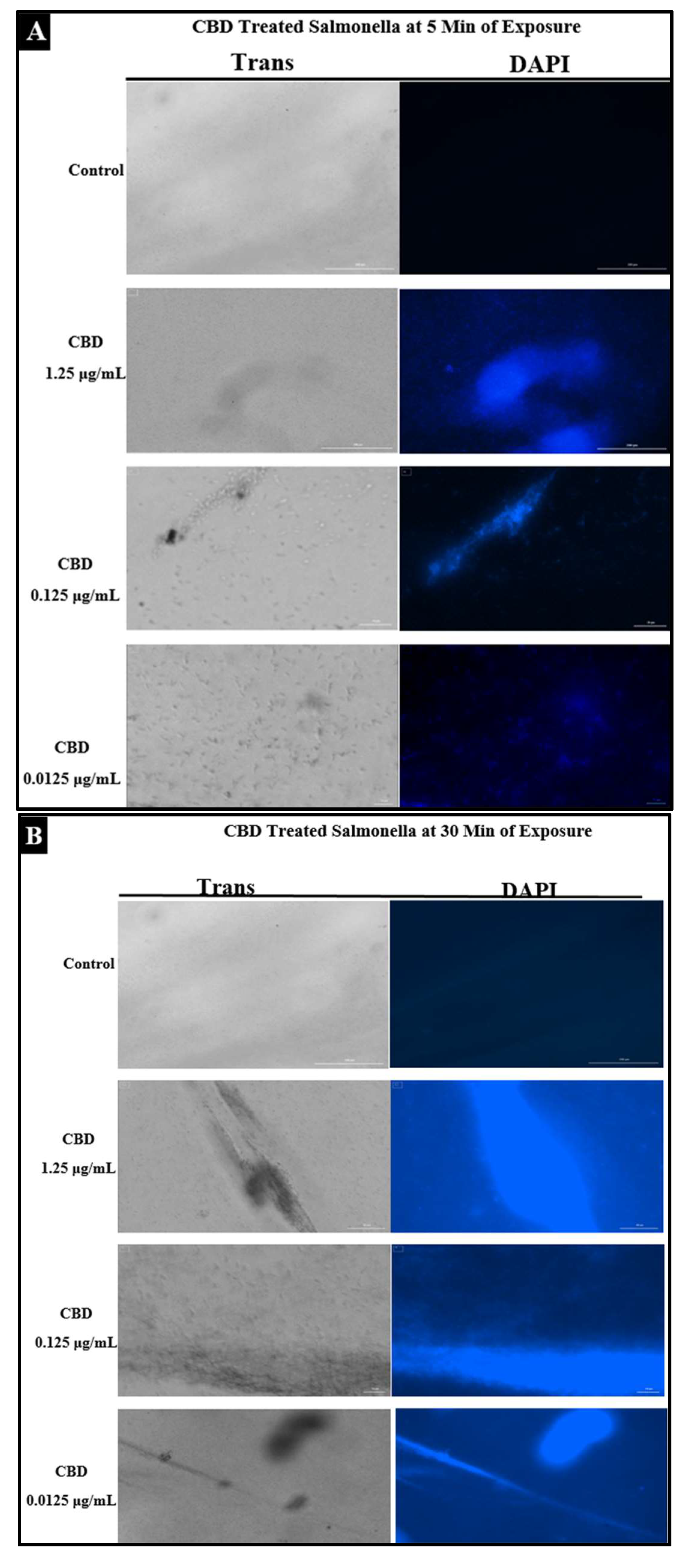Molecules 27 02669 g004a