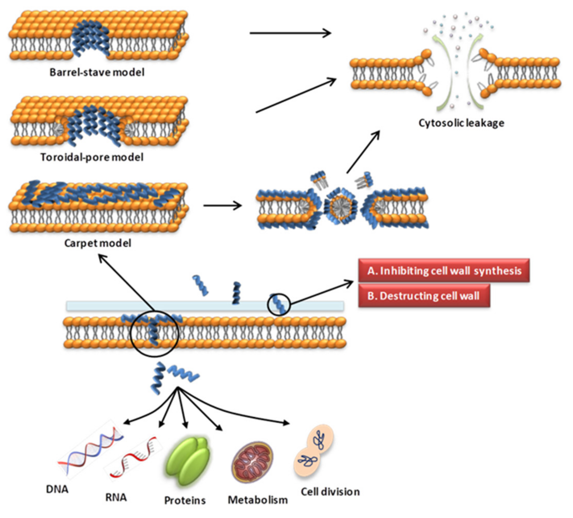 Molecules 27 02675 g001 Molecules 27 02675 g001