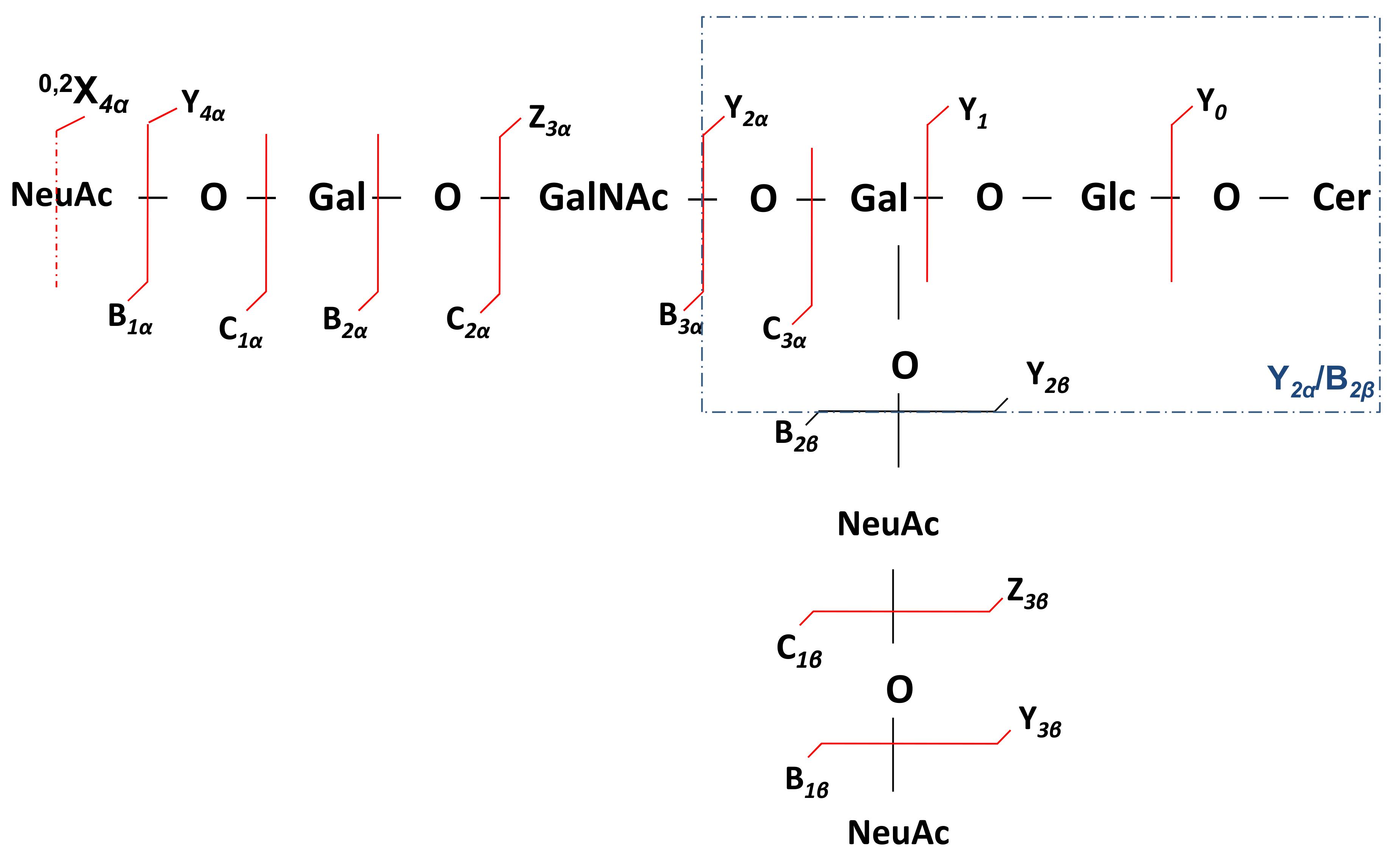 Molecules 27 02679 g007