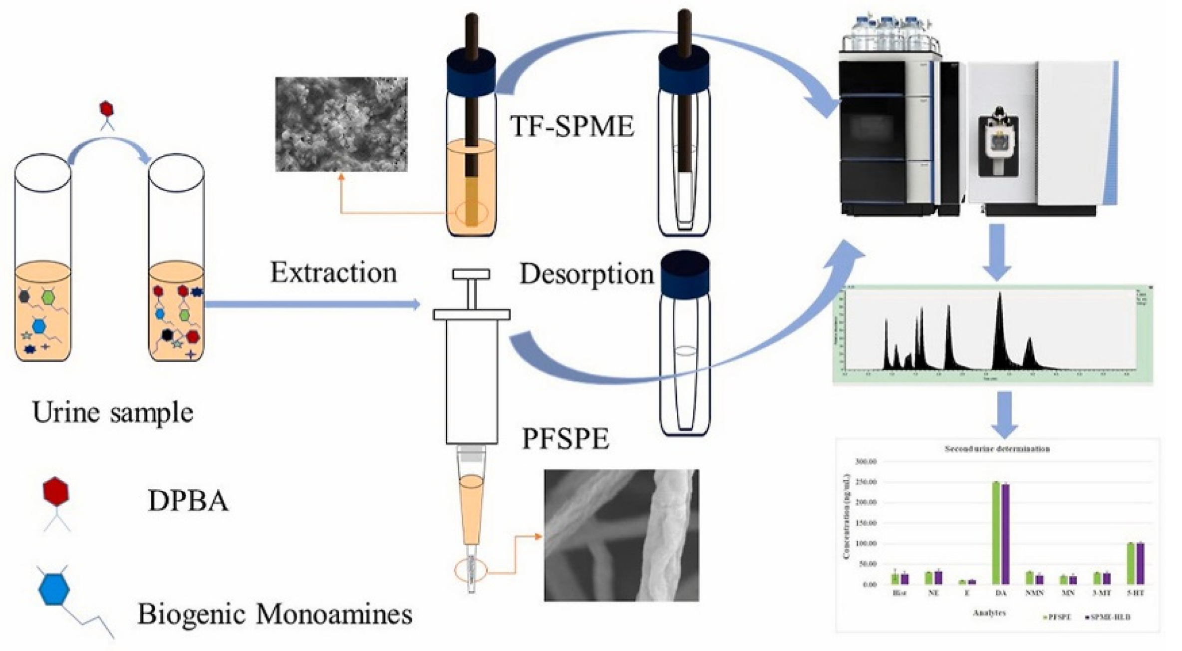 Molecules 27 02702 g003