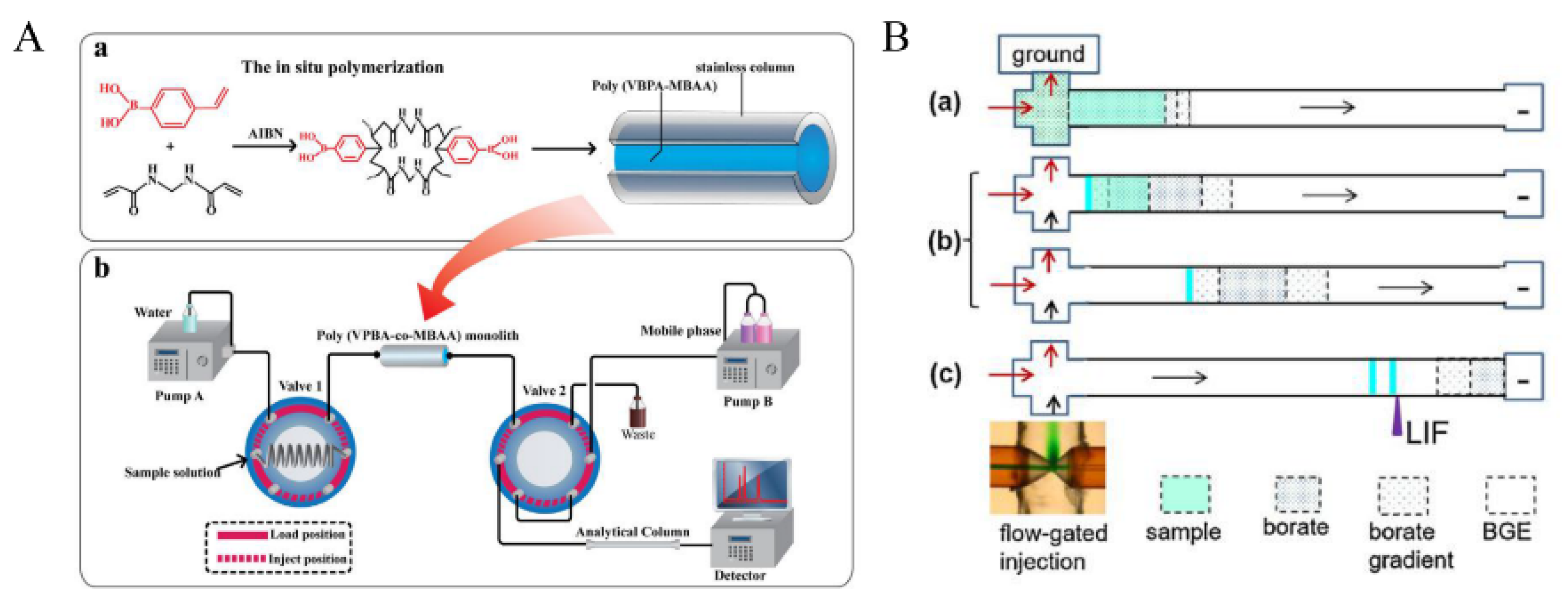Molecules 27 02702 g004
