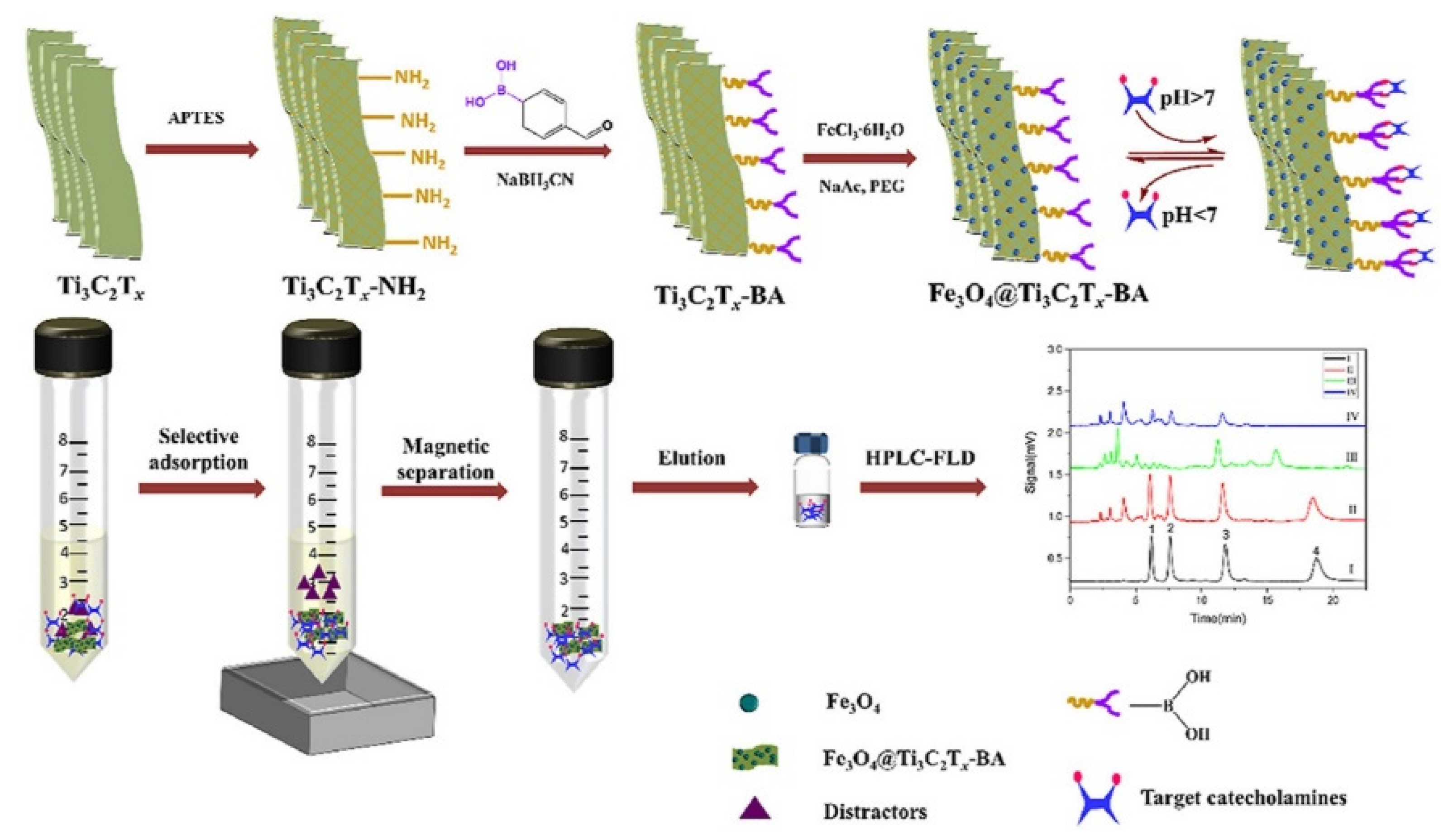 Molecules 27 02702 g005