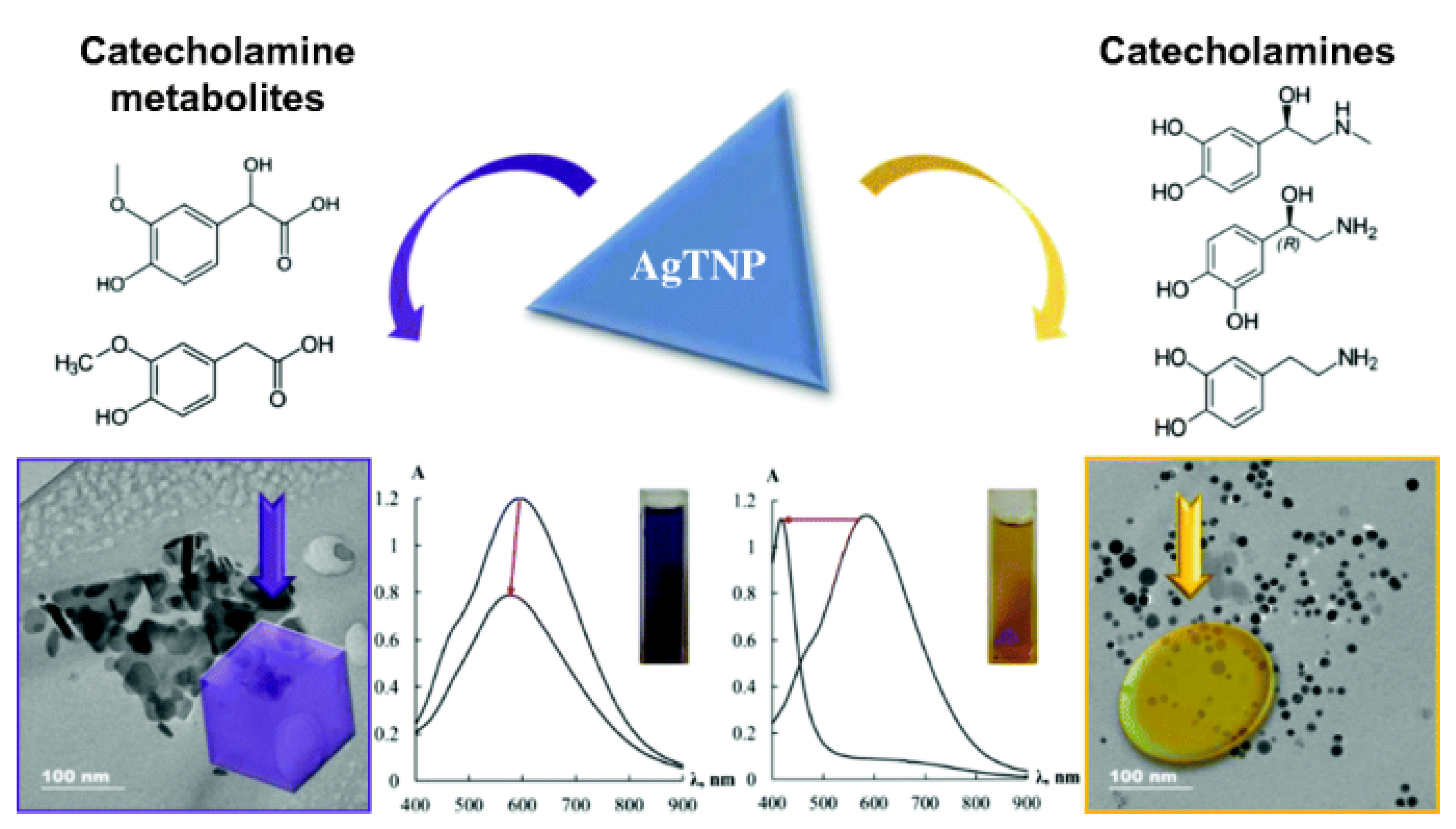 Molecules 27 02702 g007