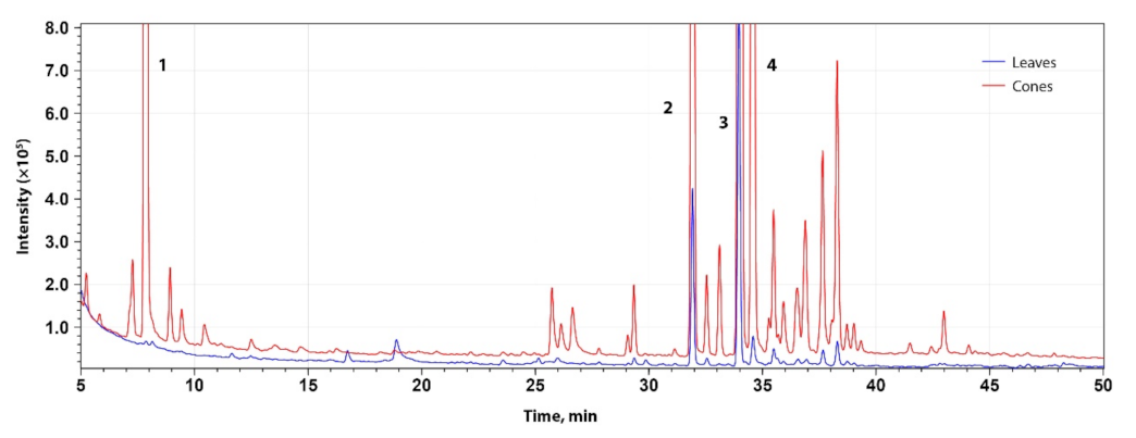 Molecules 27 02705 g001