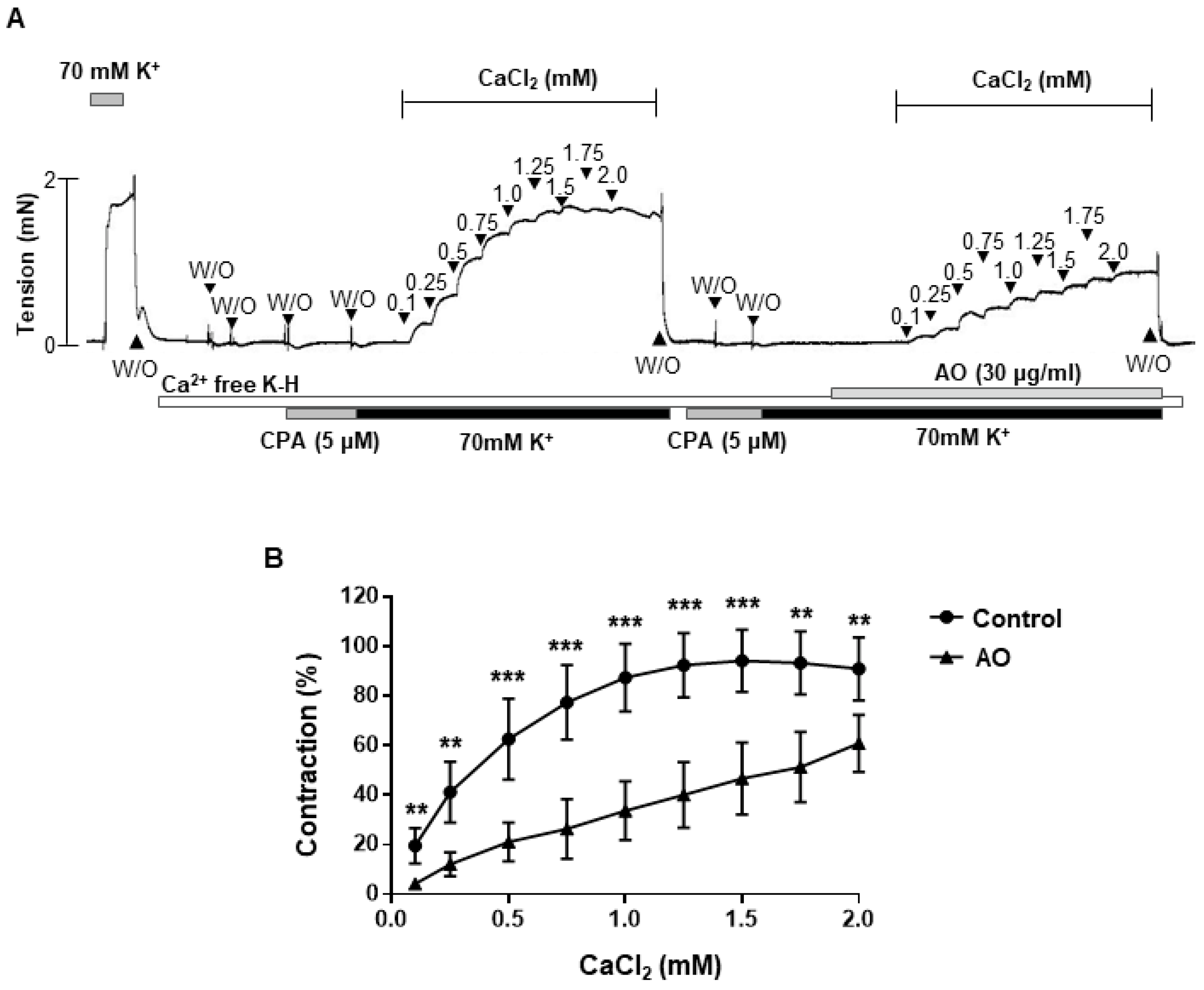 Molecules 27 02711 g004