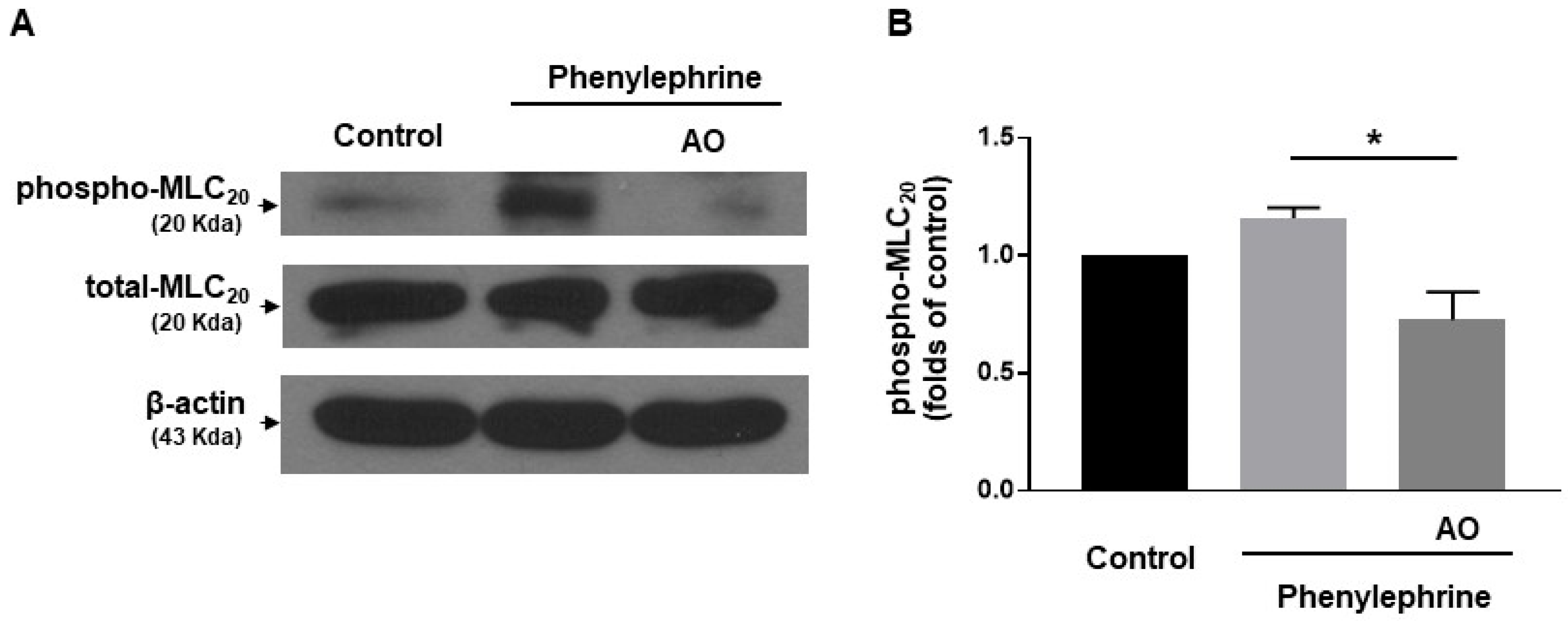 Molecules 27 02711 g005