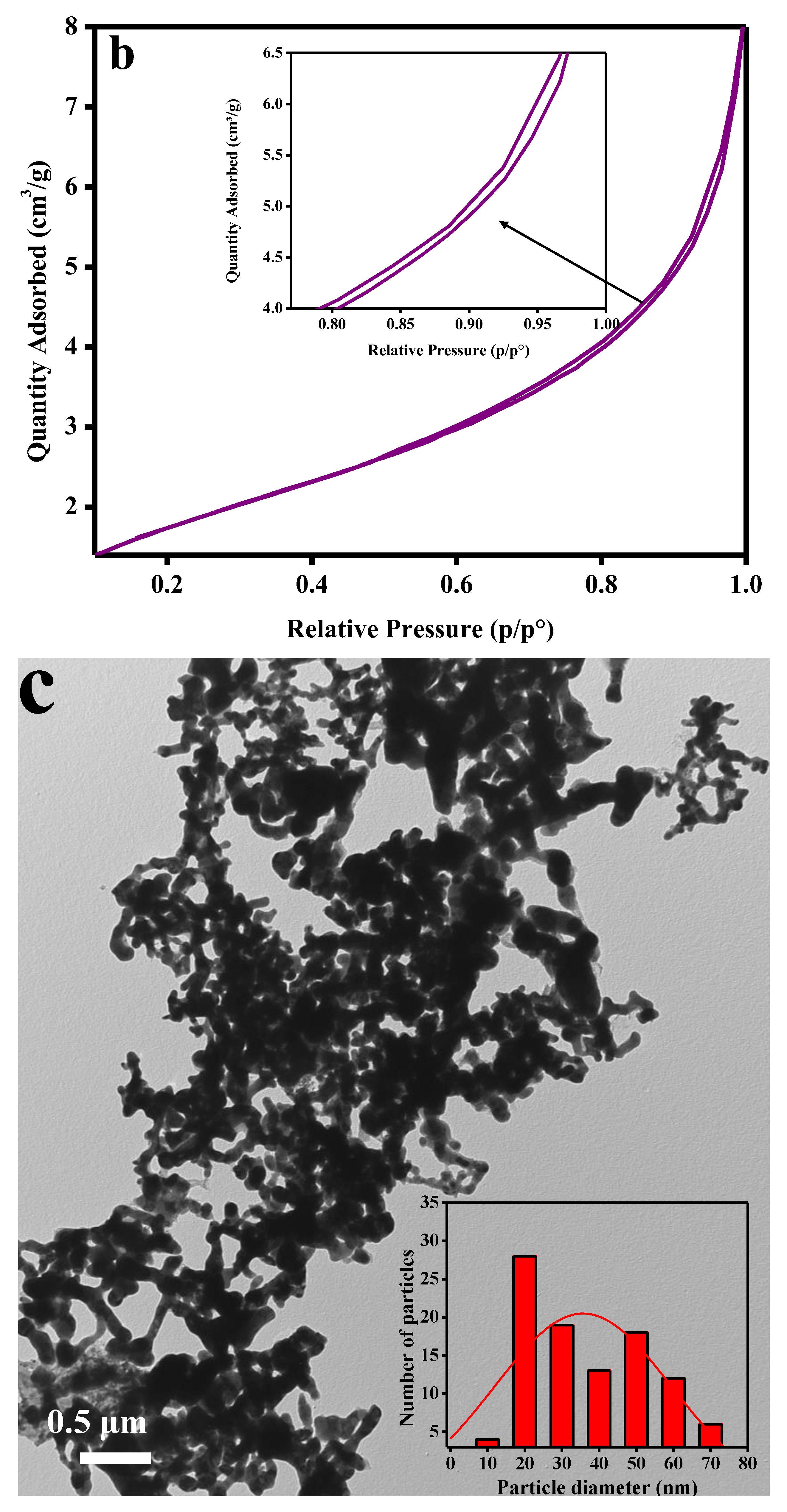 Molecules 27 02720 g003b