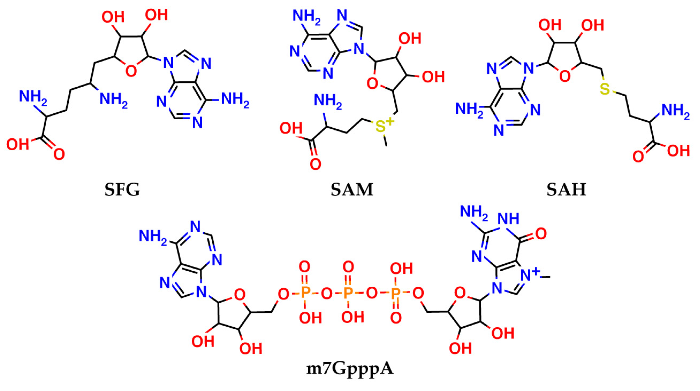 Molecules 27 02721 g003