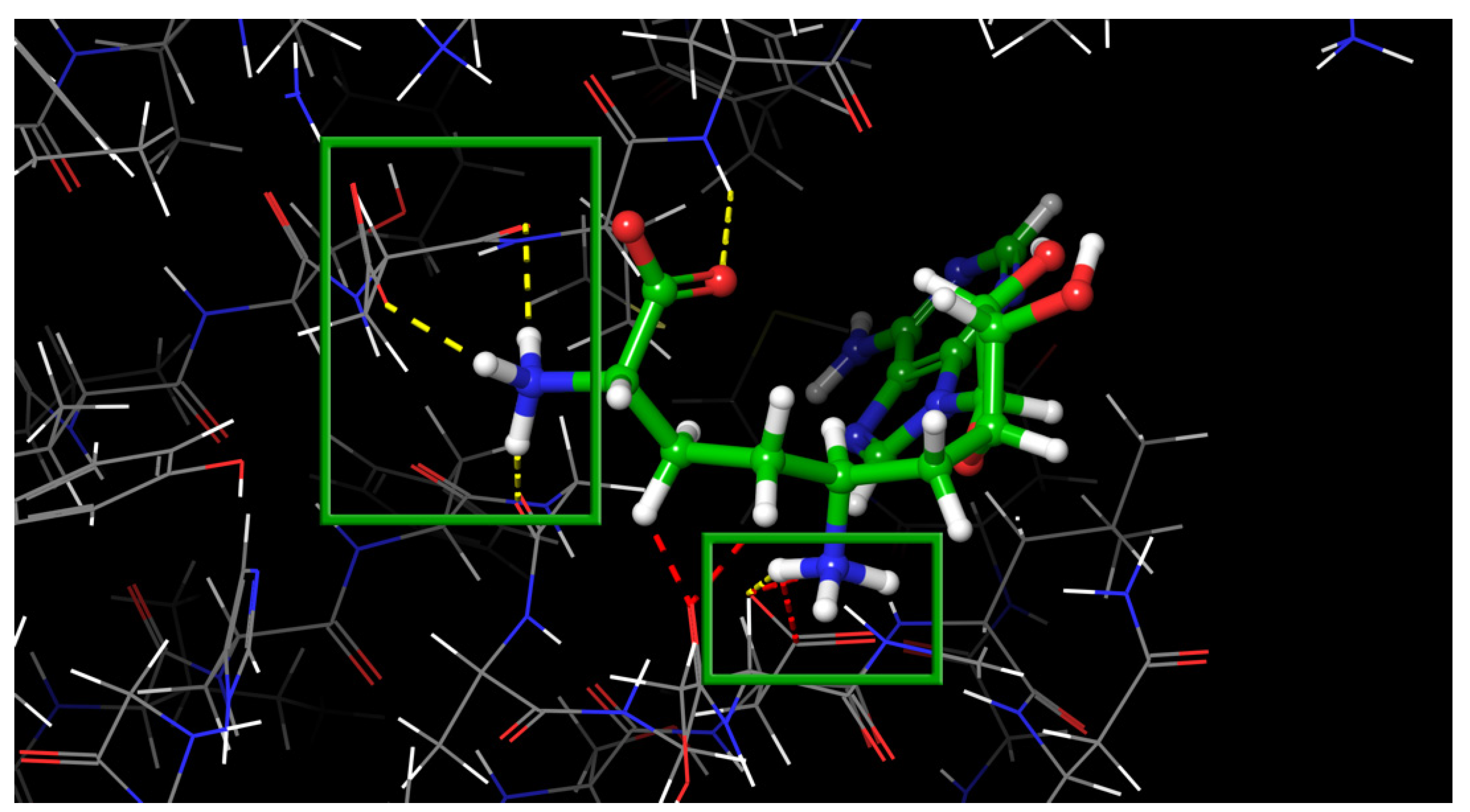 Molecules 27 02721 g007