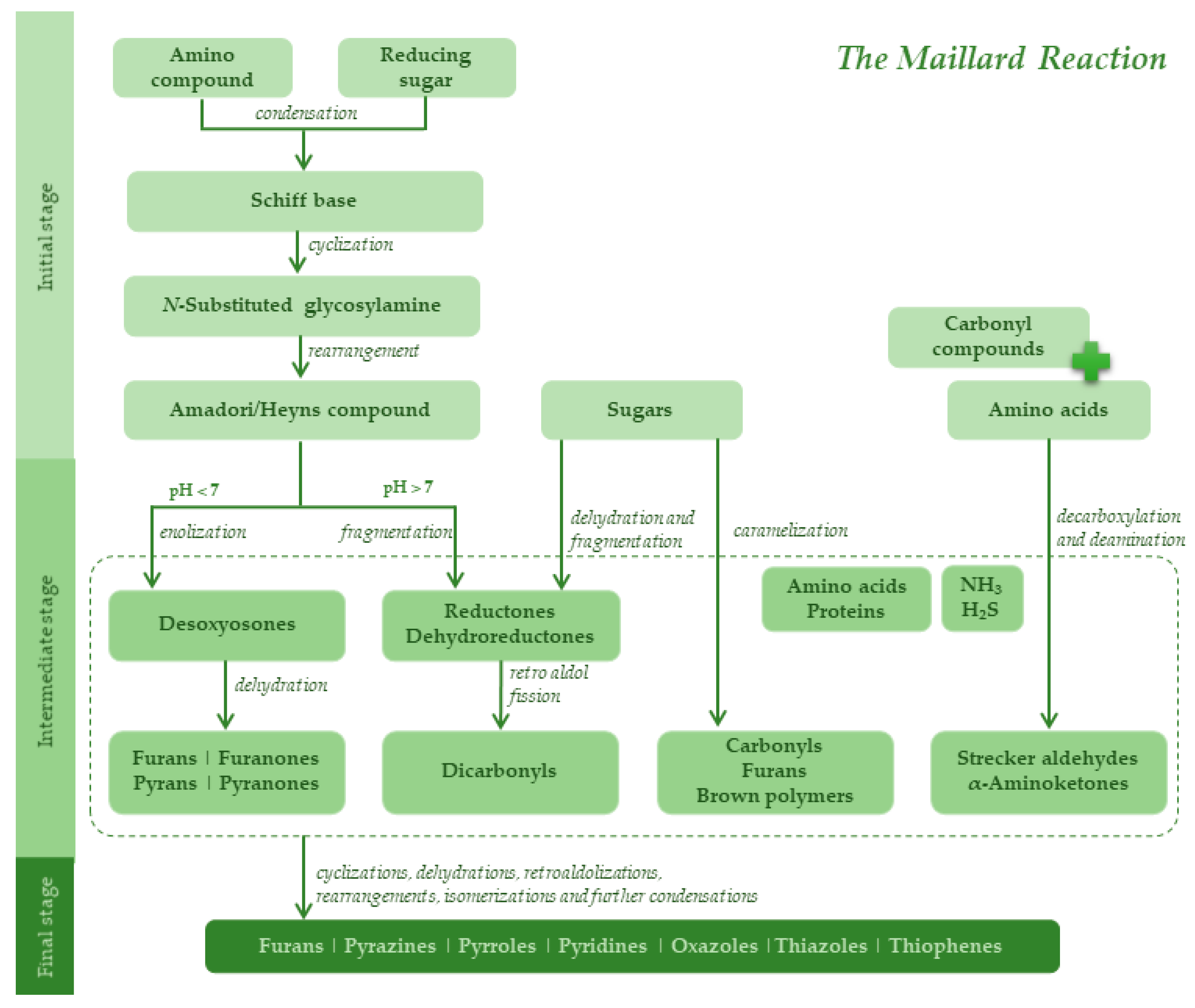 Molecules 27 02728 g001