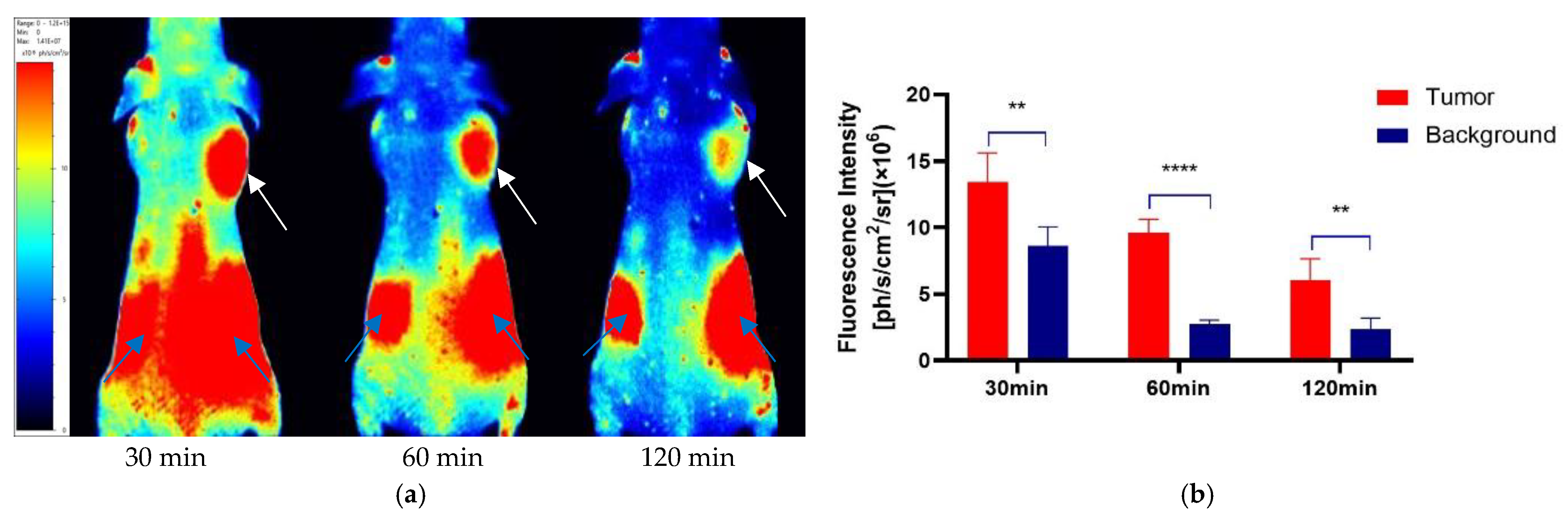 Molecules 27 02736 g006
