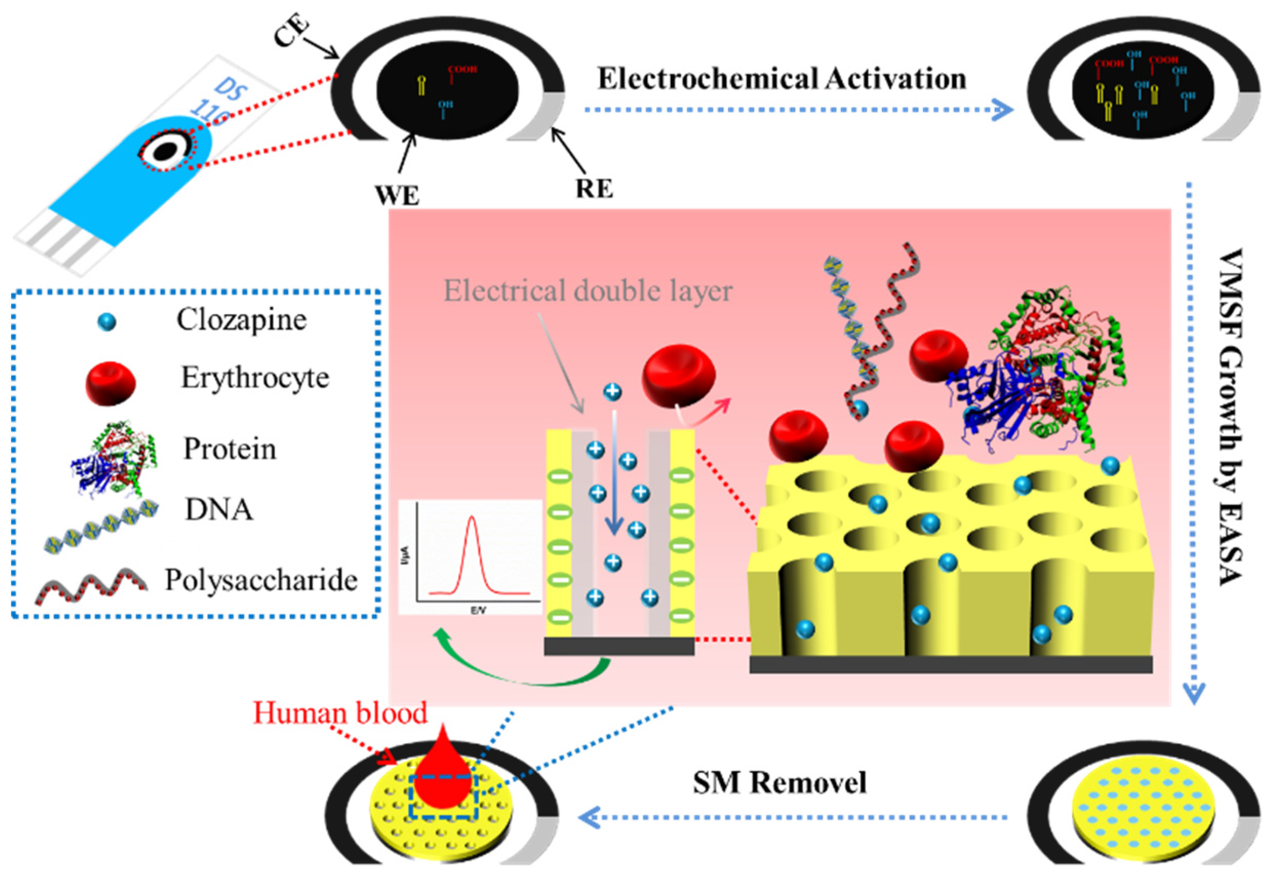 Molecules 27 02739 g001