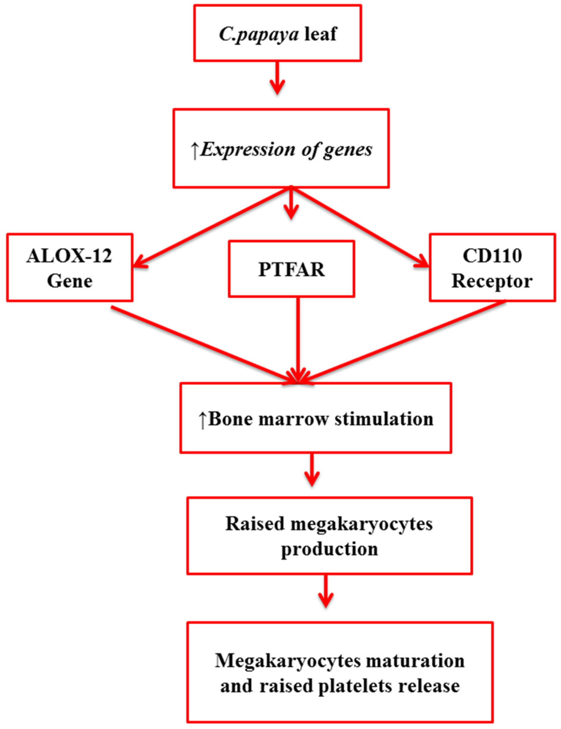 Molecules 27 02760 g001 Molecules 27 02760 g001