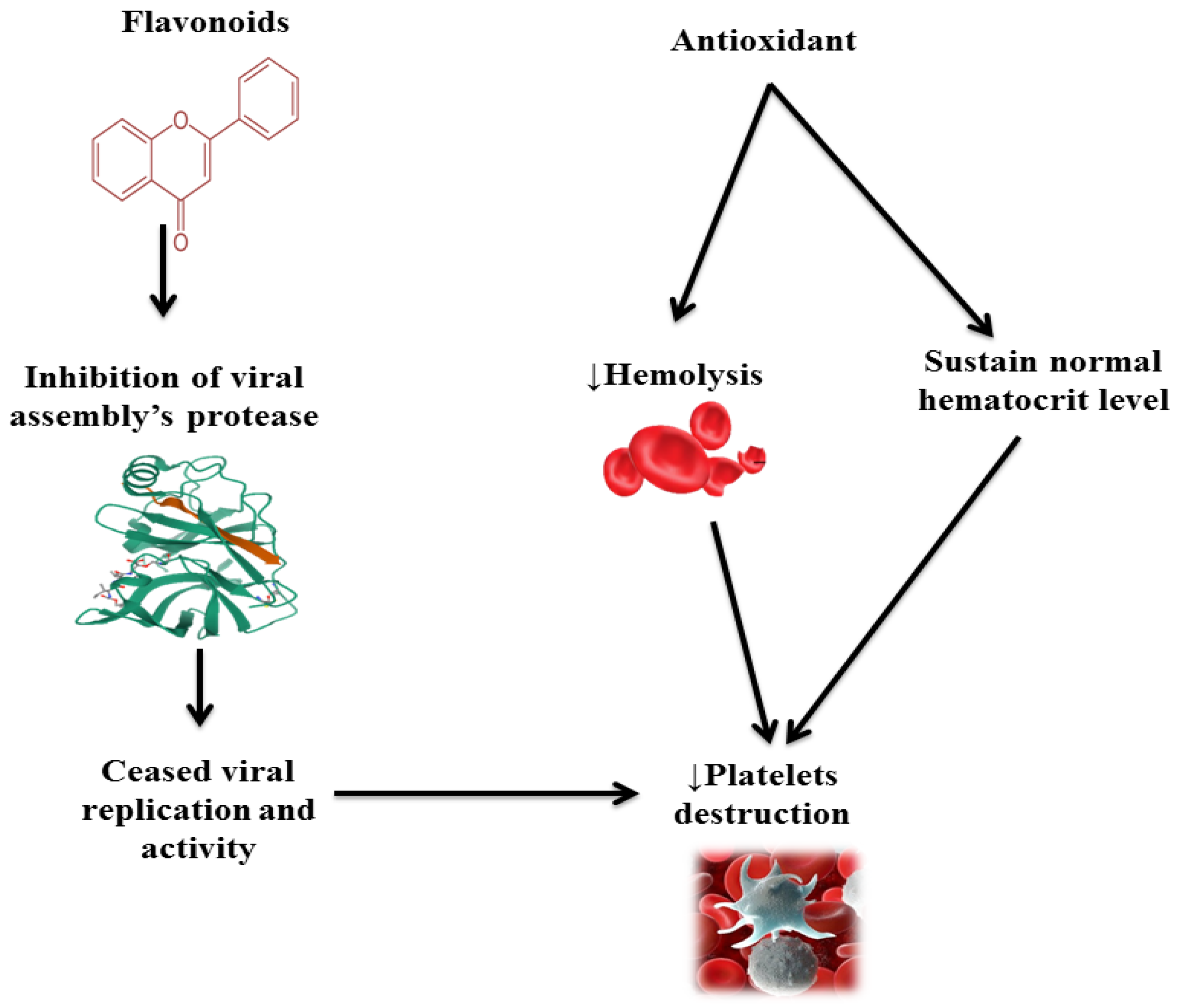 Molecules 27 02760 g002 Molecules 27 02760 g002