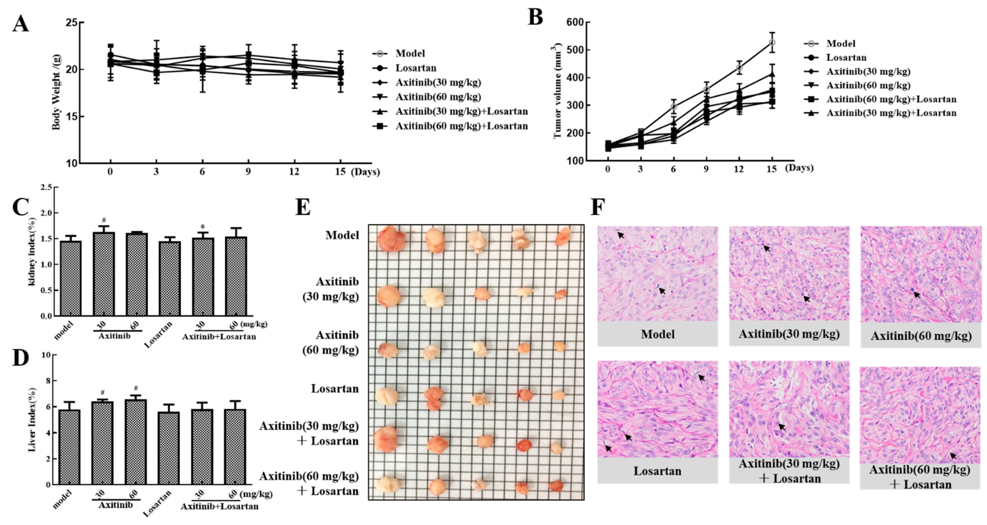 Molecules 27 02764 g005