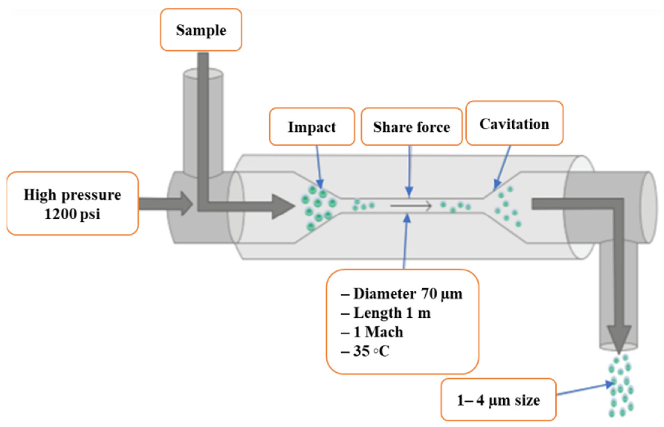Molecules 27 02786 g003 Molecules 27 02786 g003