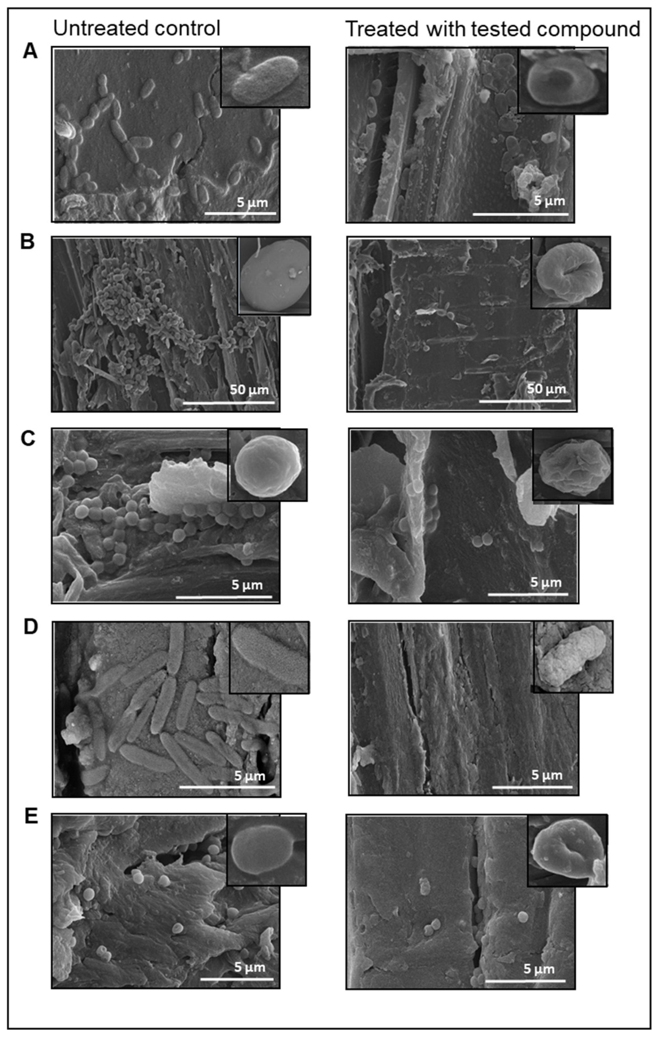 Molecules 27 02793 g003