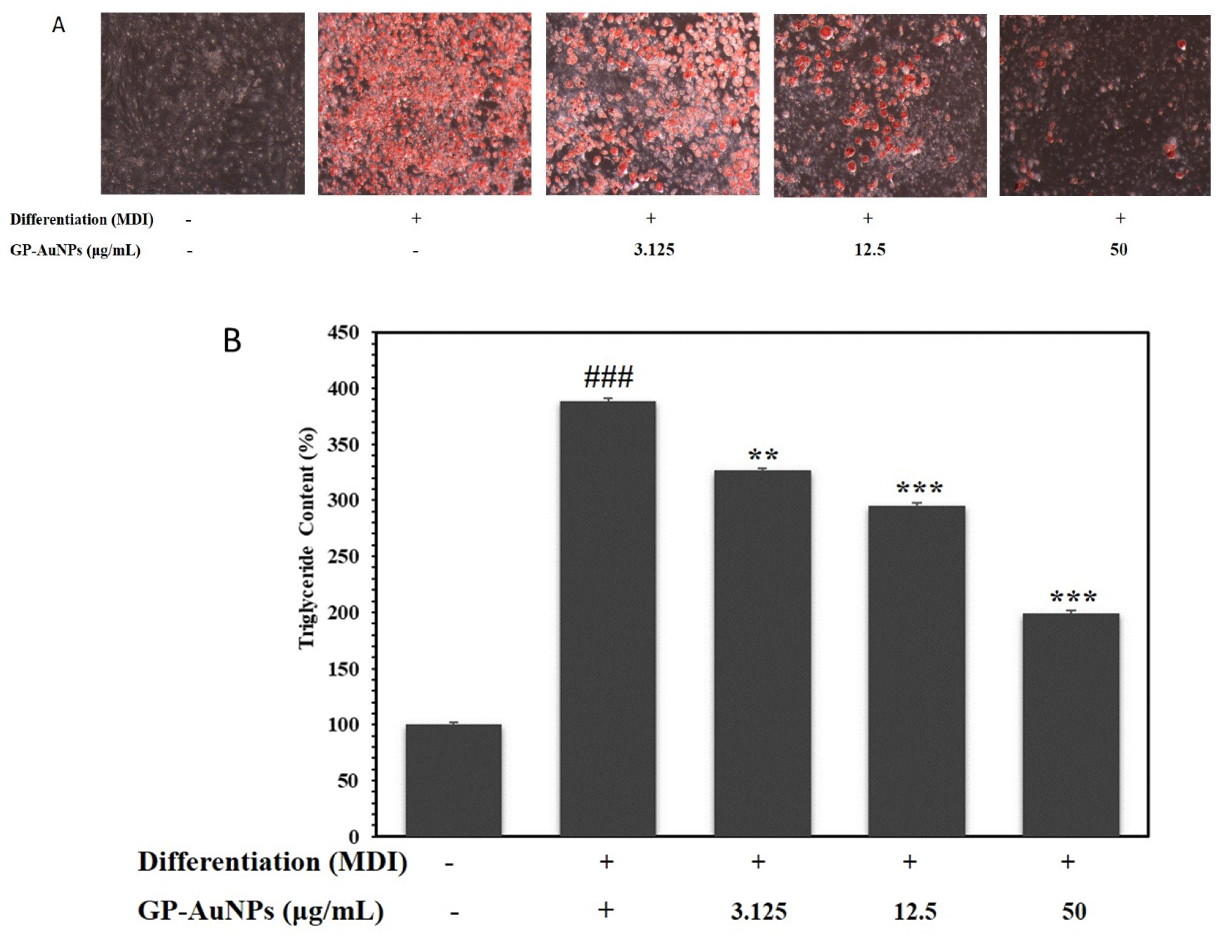 Molecules 27 02795 g007