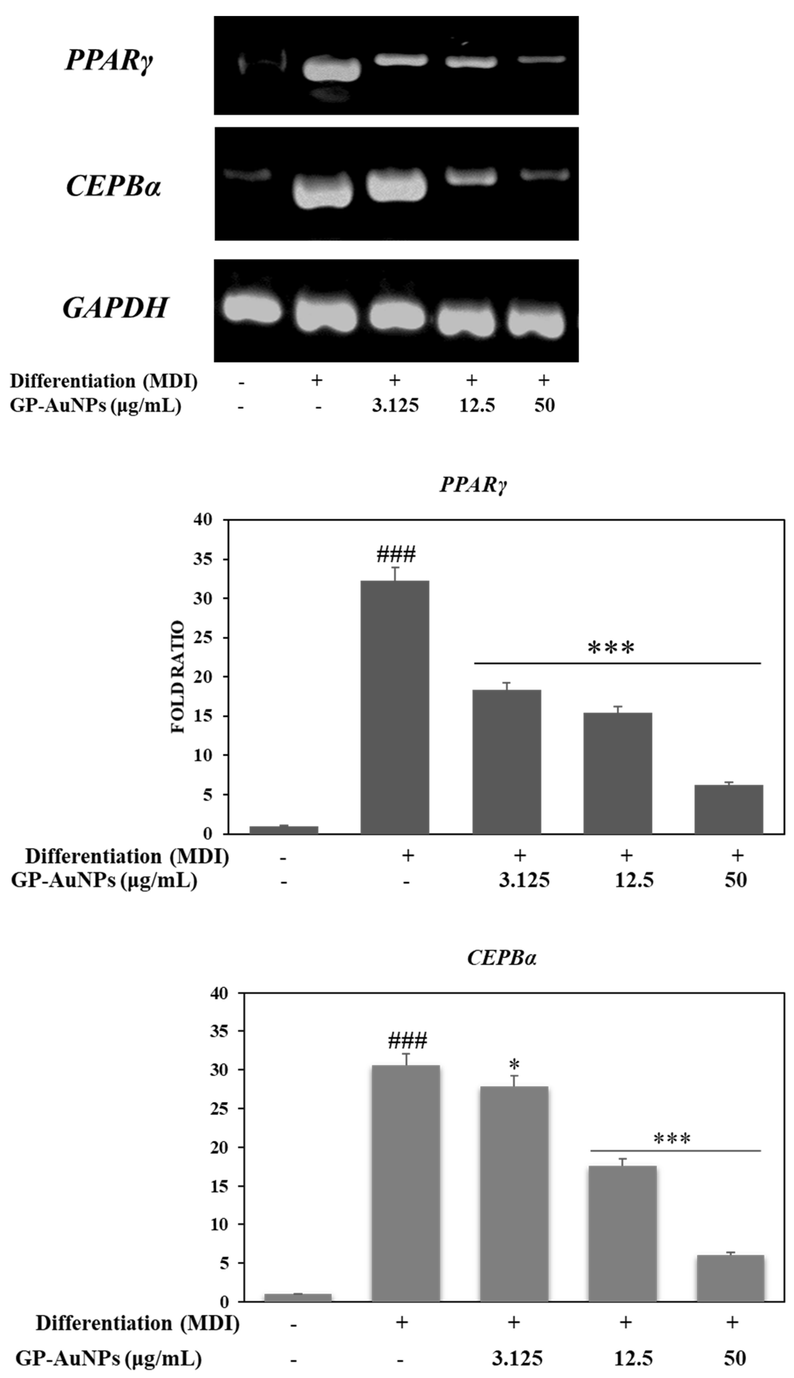 Molecules 27 02795 g012