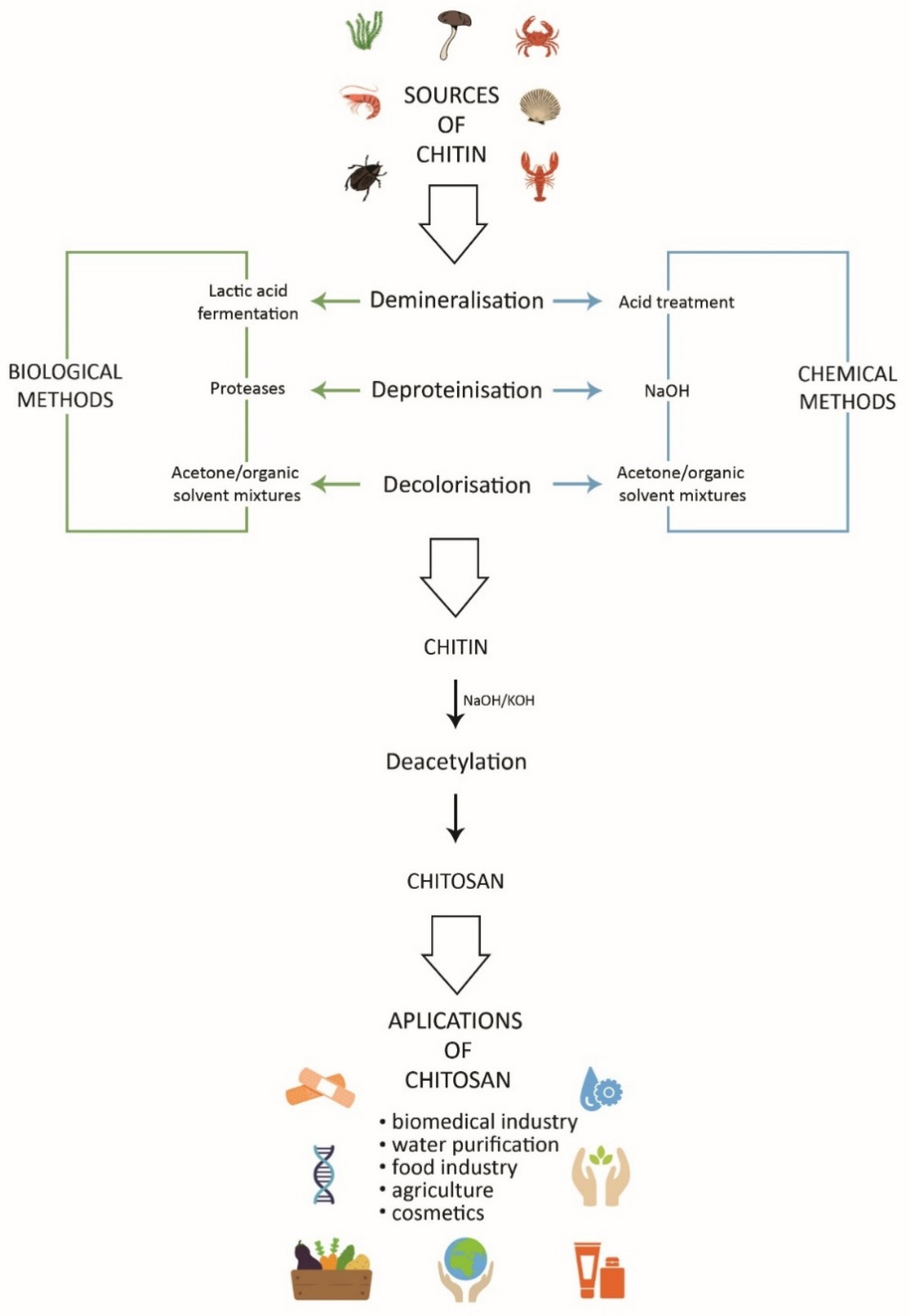 Molecules 27 02801 g001