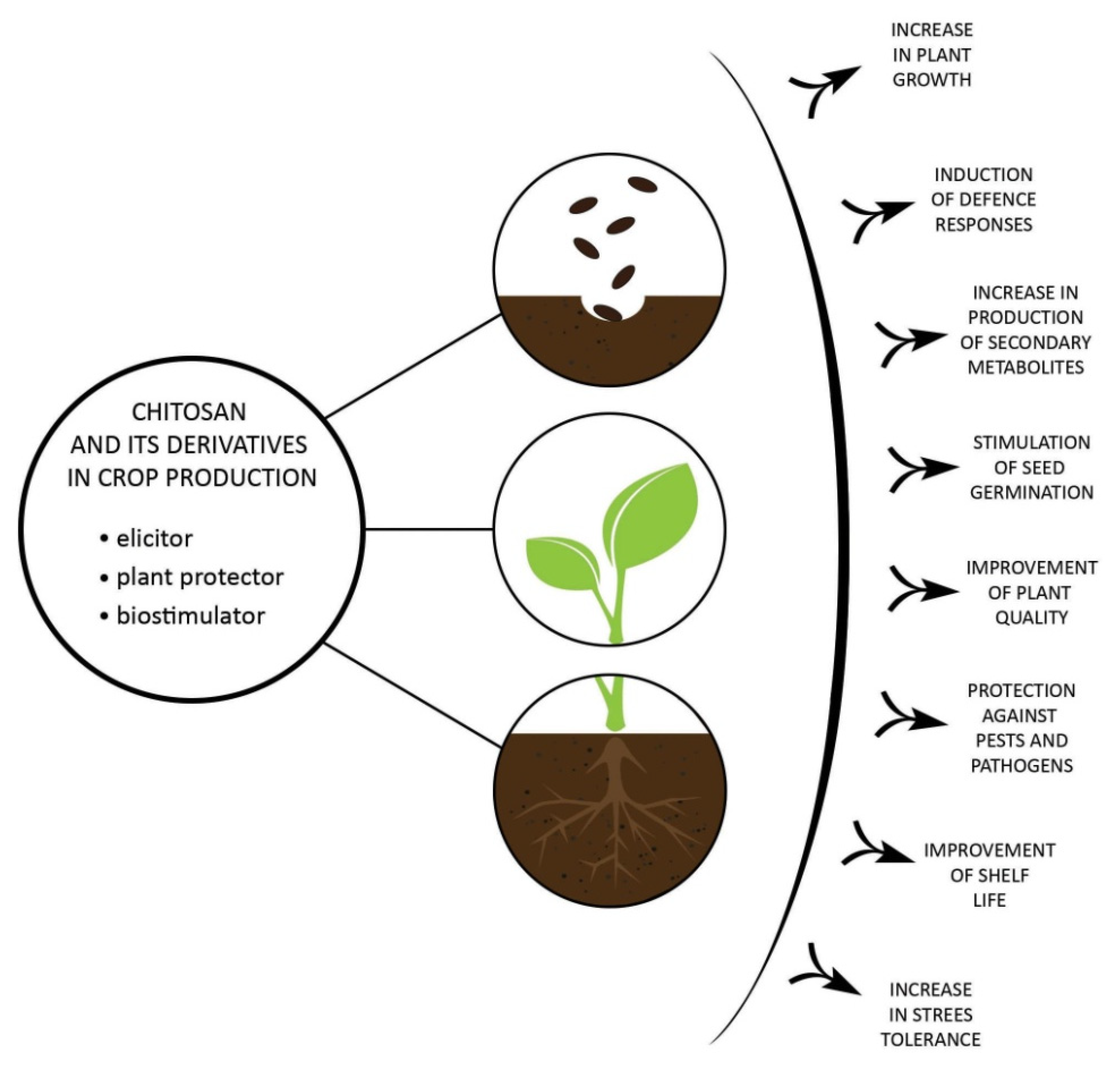 Molecules 27 02801 g002