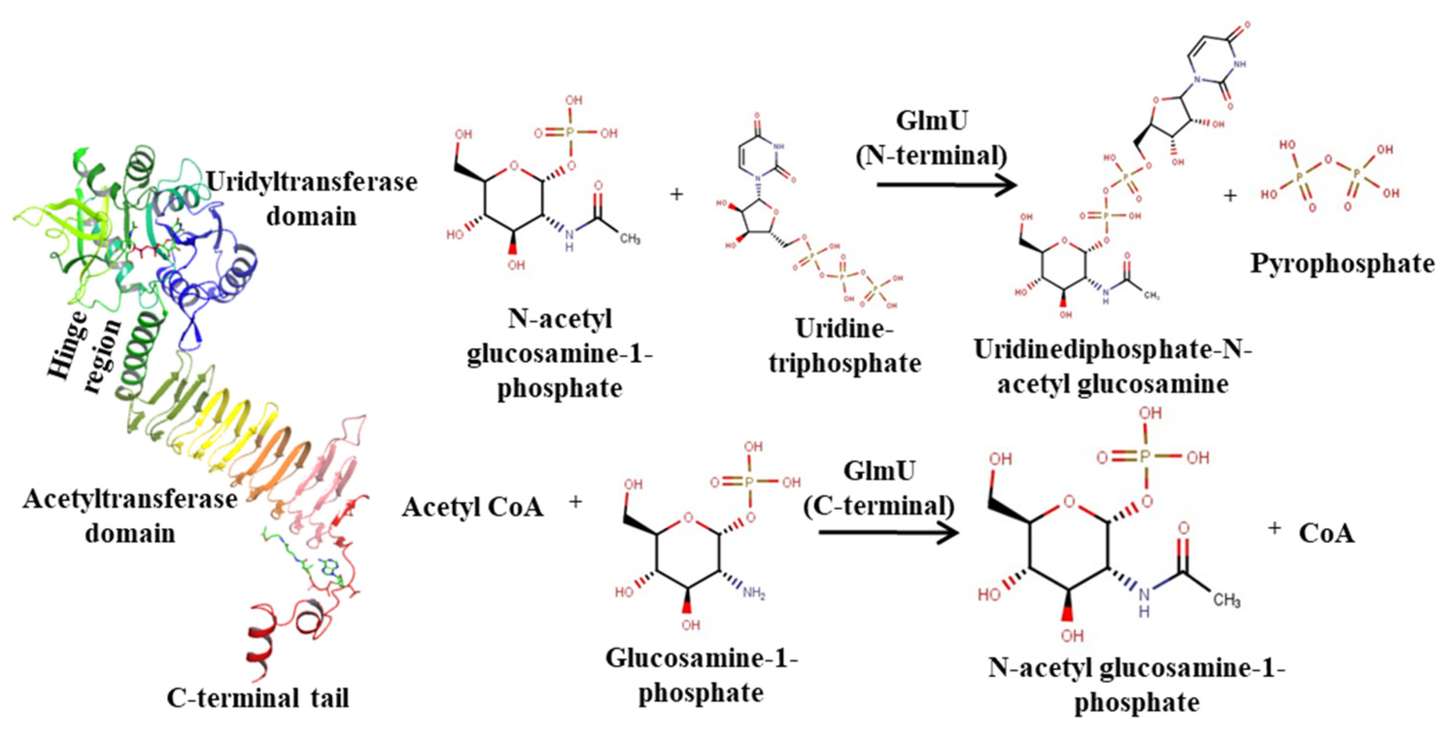 Molecules 27 02805 g001
