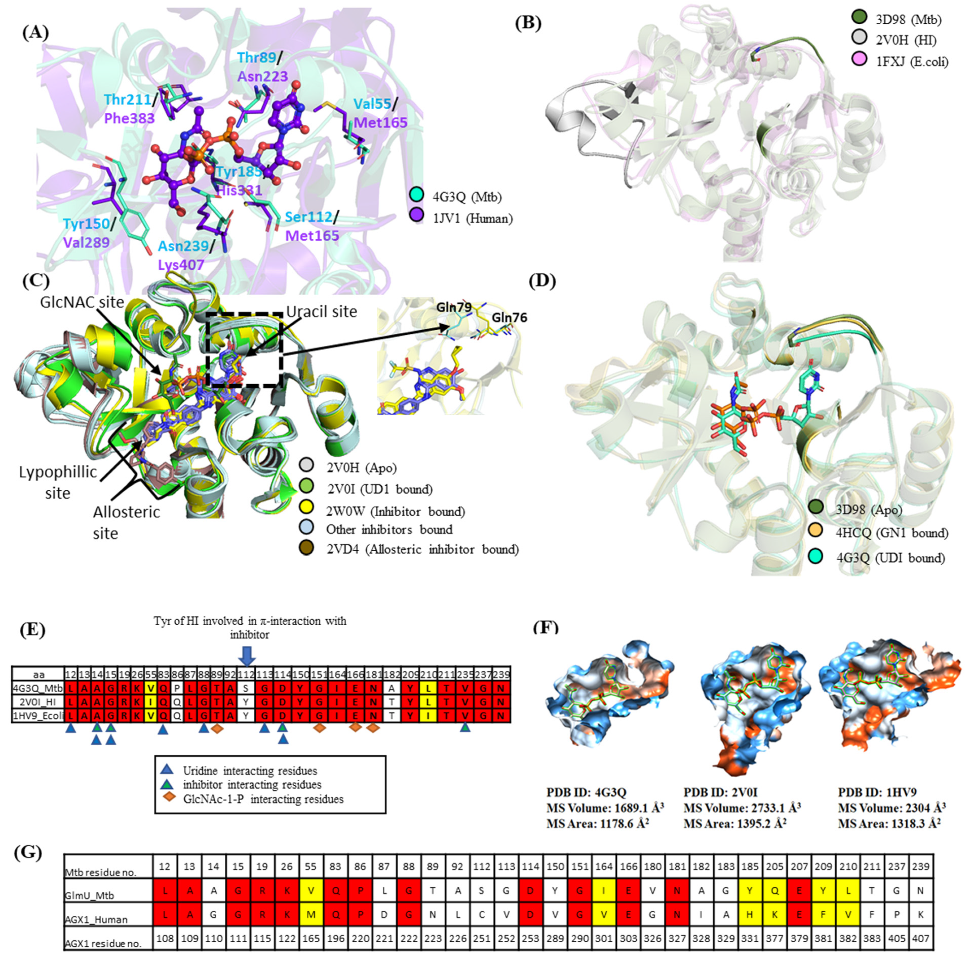 Molecules 27 02805 g002