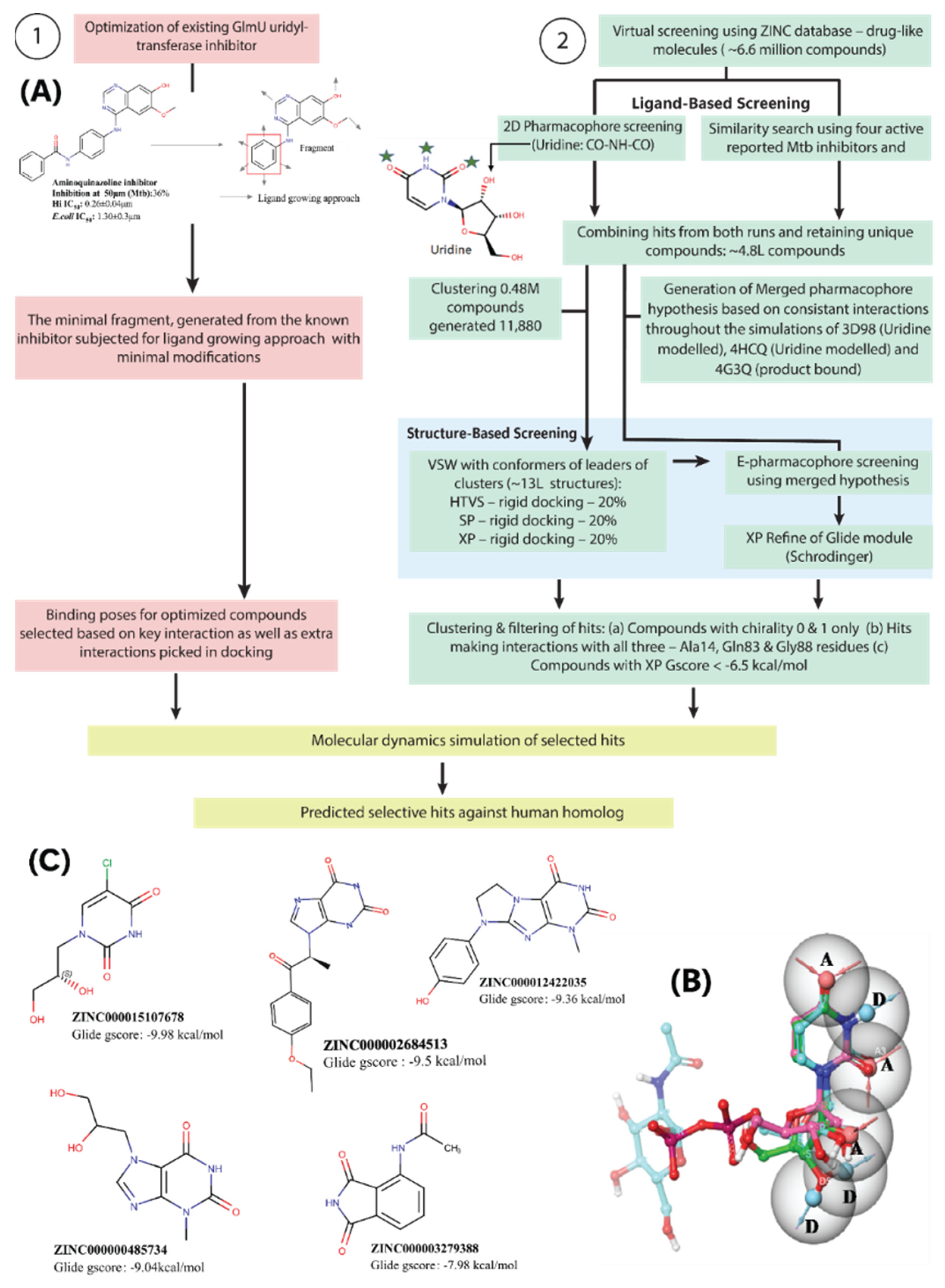 Molecules 27 02805 g004