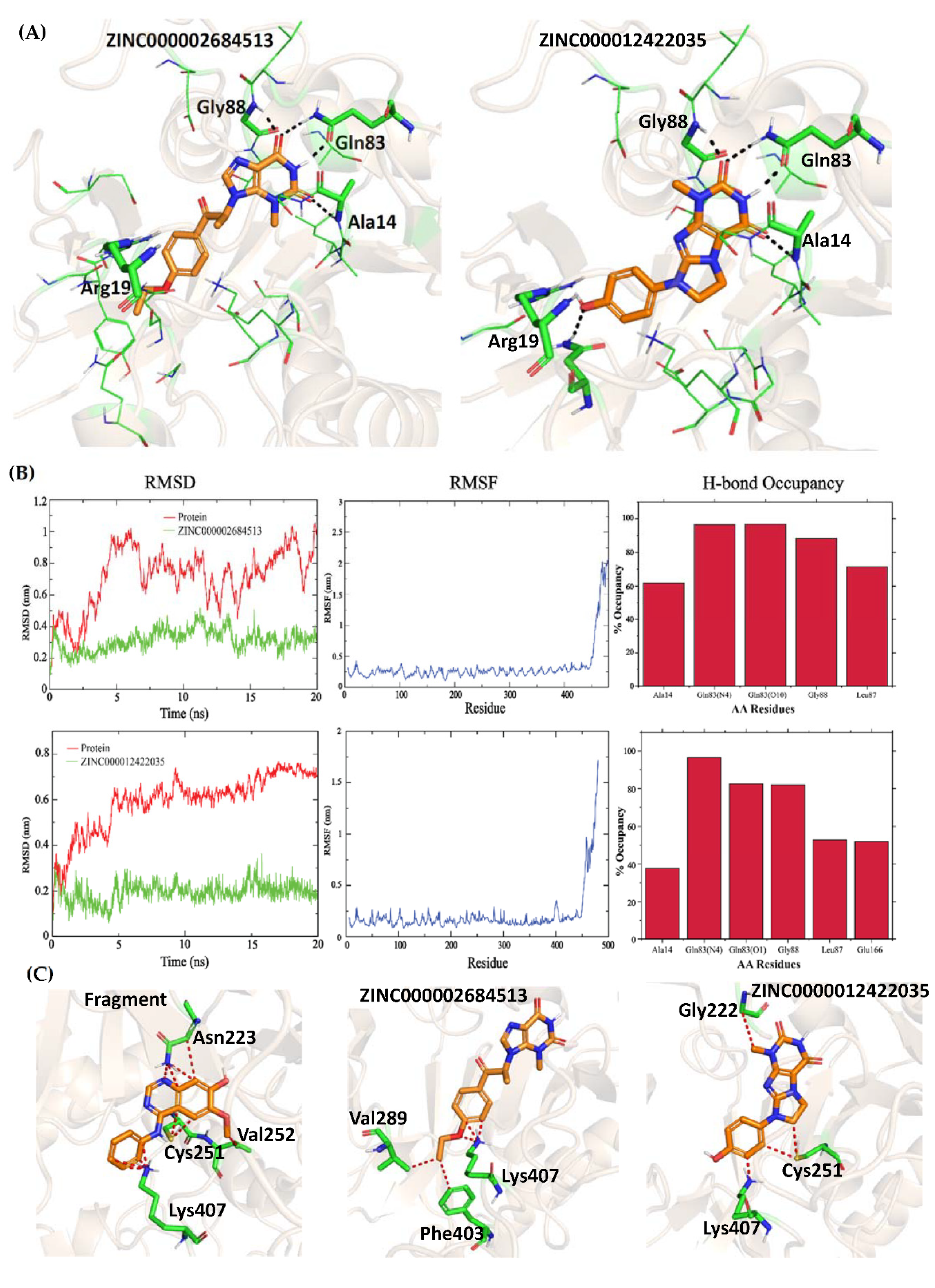Molecules 27 02805 g005