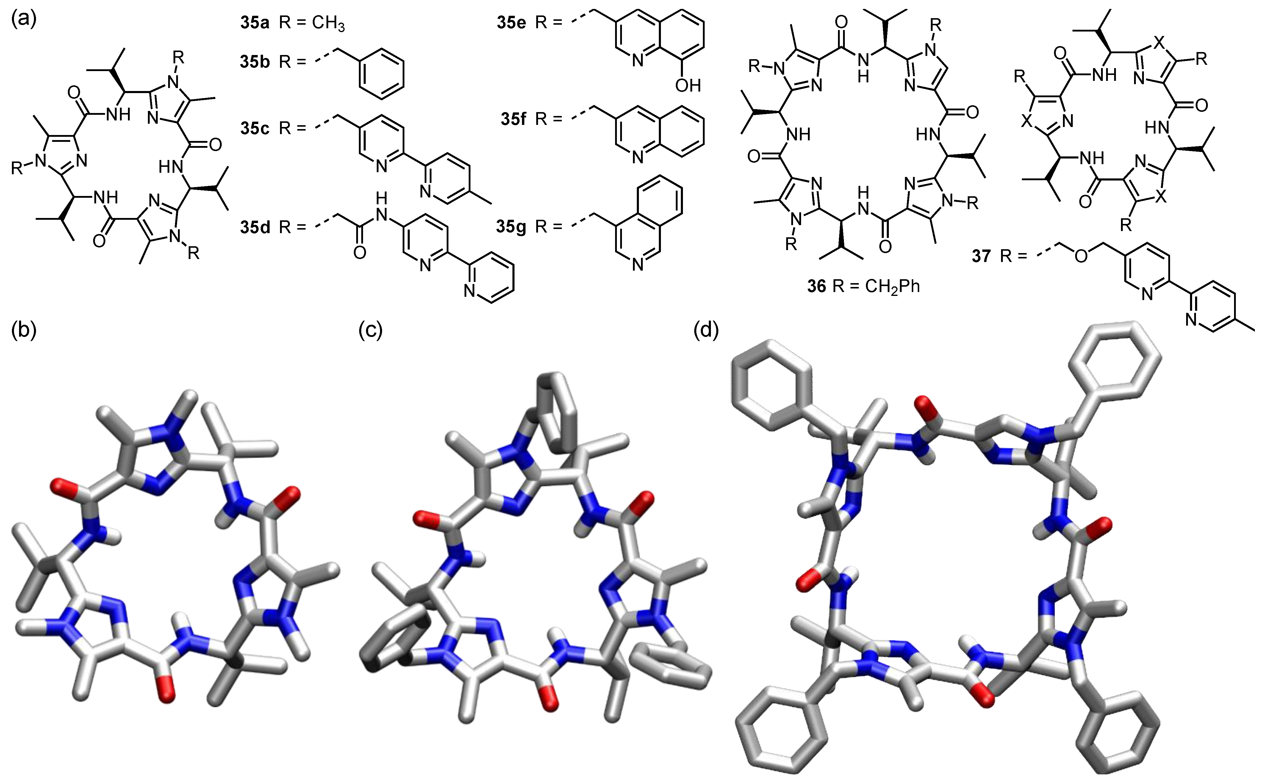 Molecules 27 02821 g017 Molecules 27 02821 g017