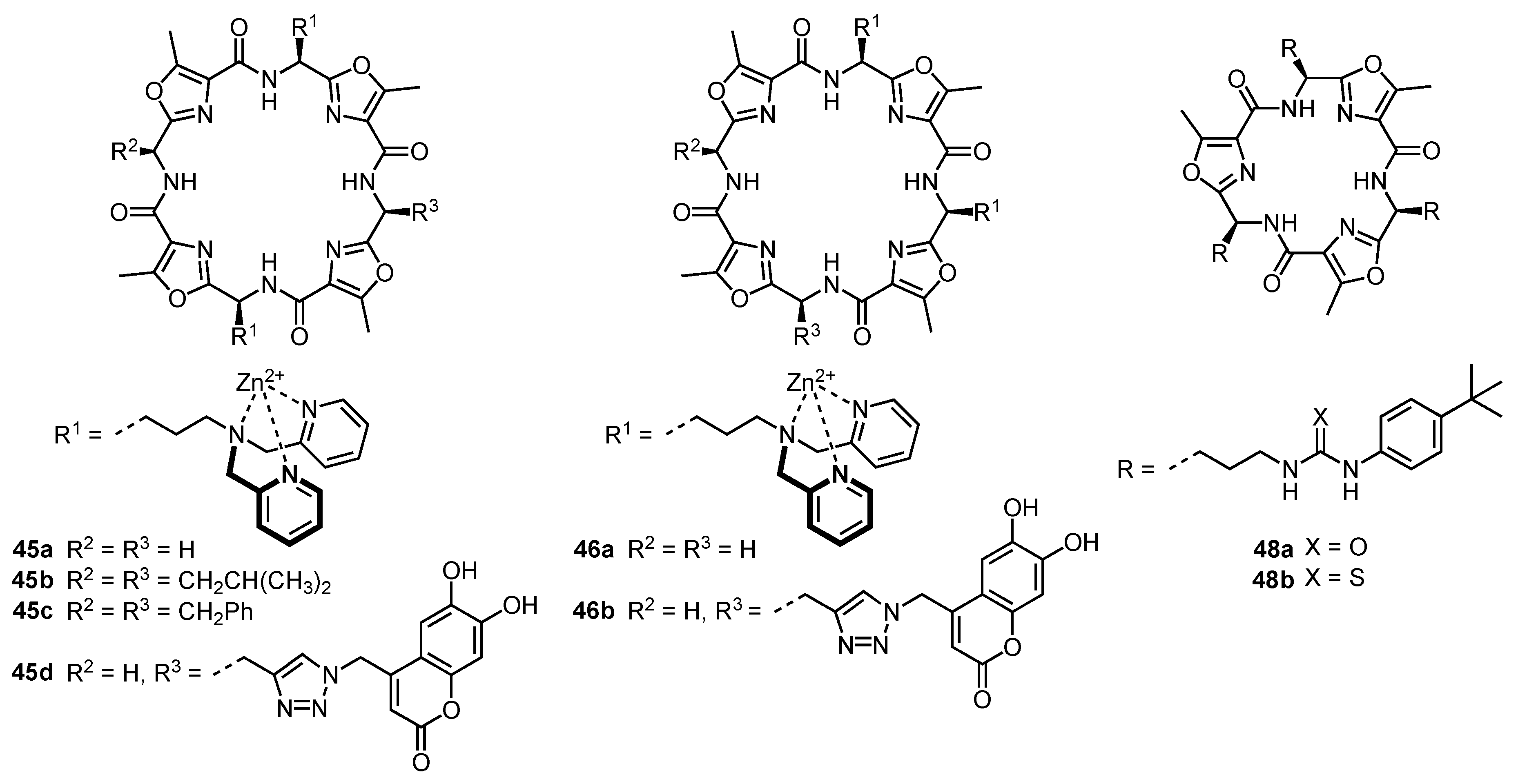 Molecules 27 02821 sch011 Molecules 27 02821 sch011