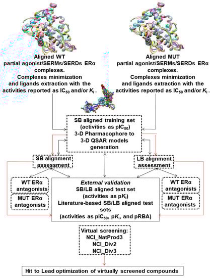 Molecules 27 02823 g003